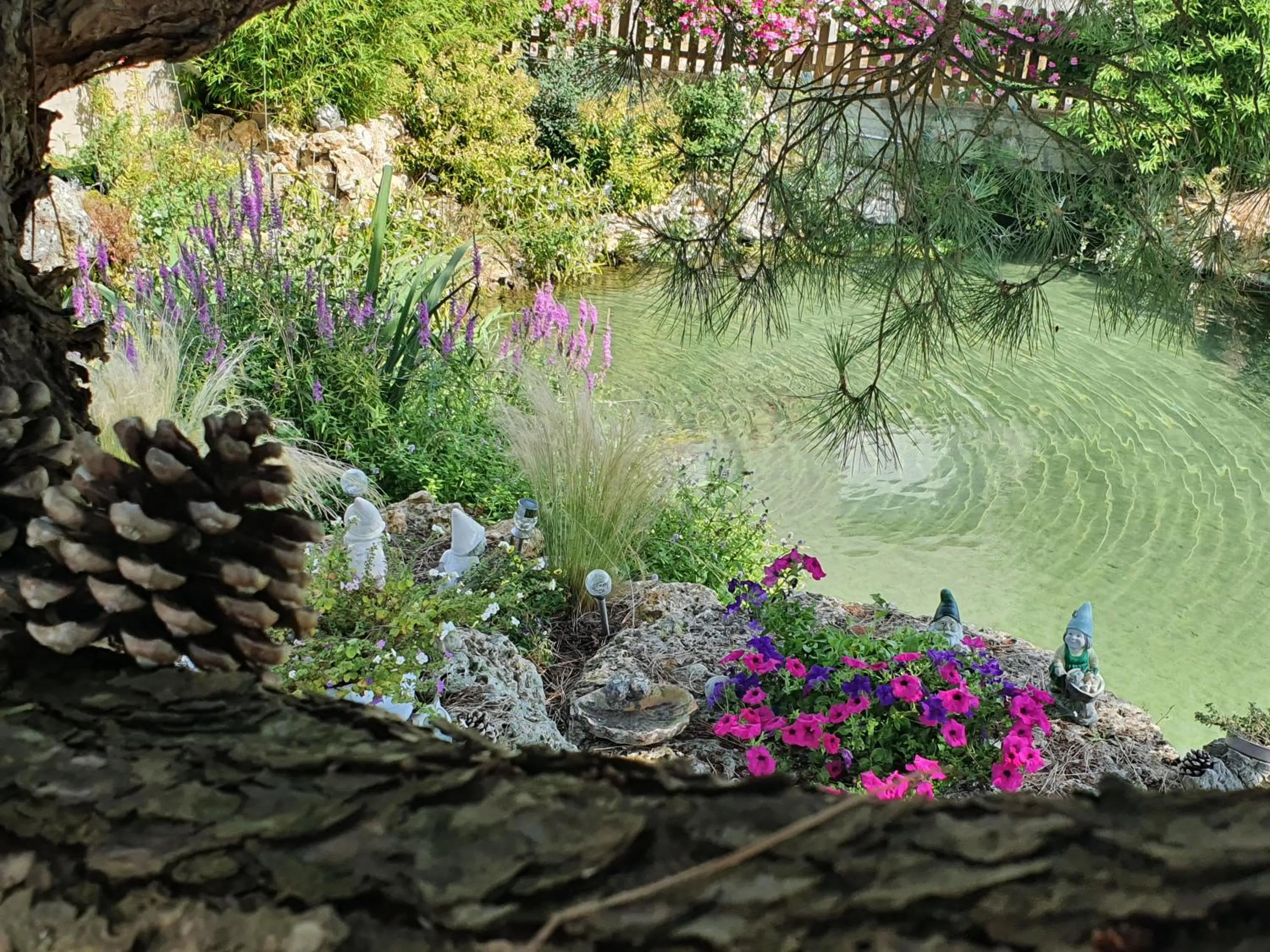 Garden view in Chambre d'Hôte Les Ondines