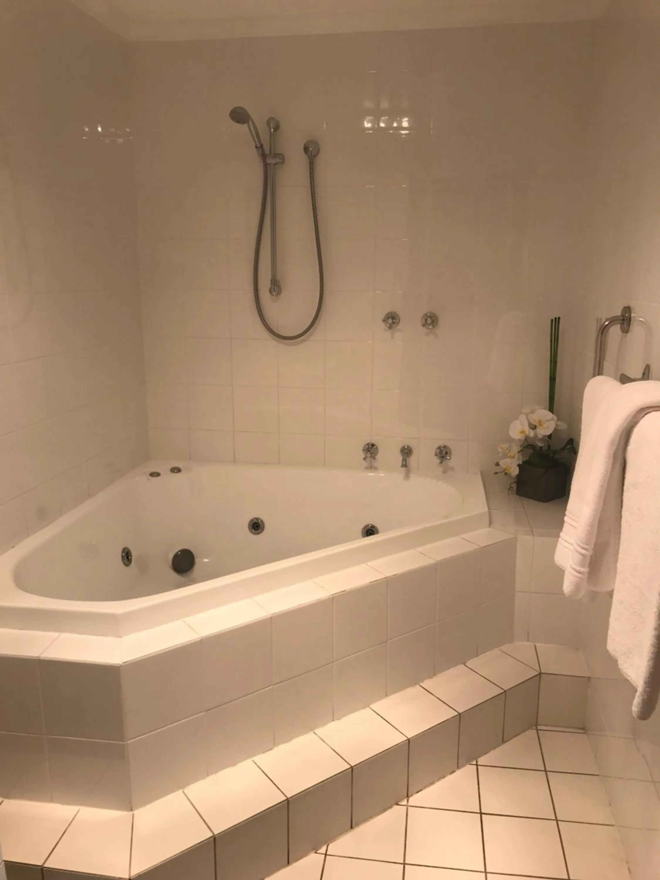 Shower in Lake Albert Motel