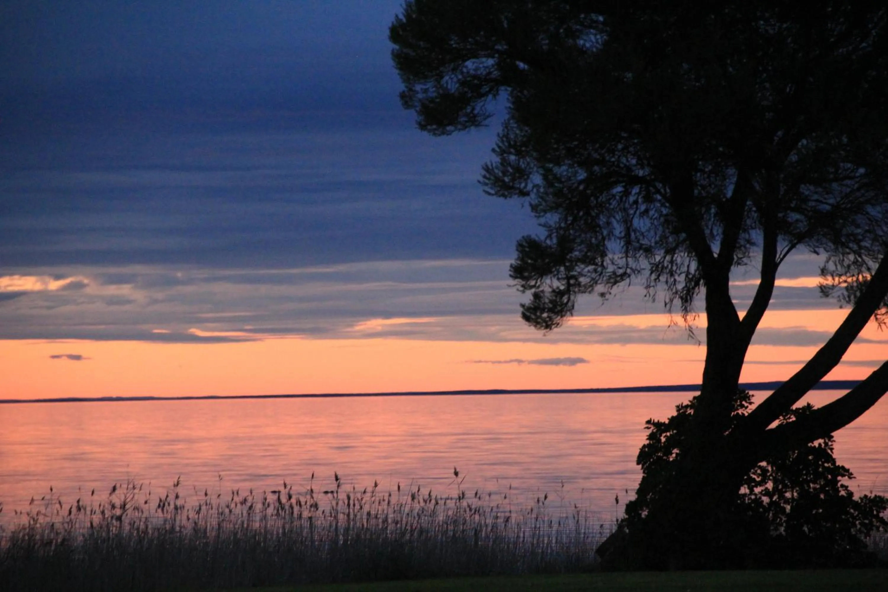 Lake view in Lake Albert Motel