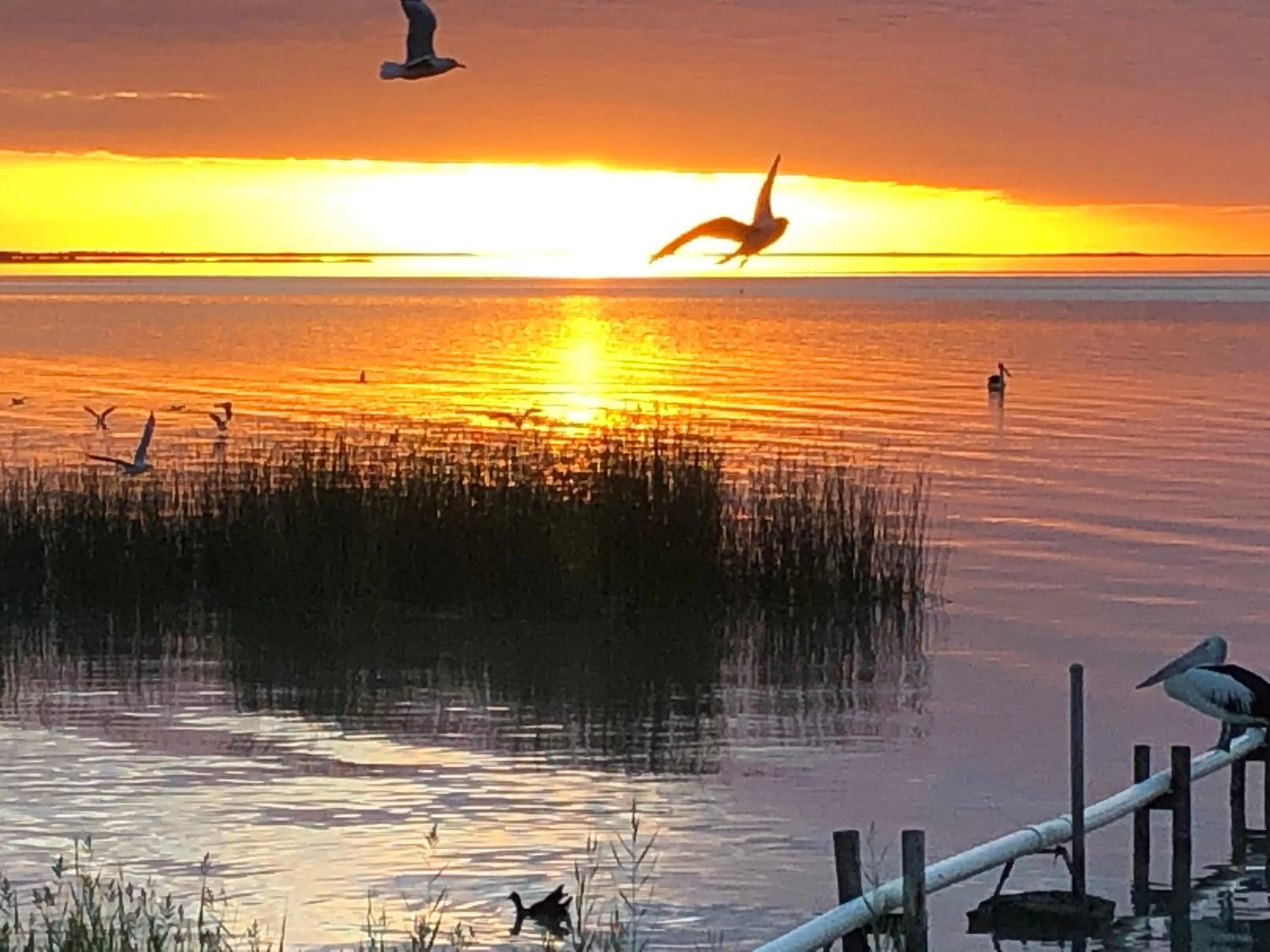 Area and facilities in Lake Albert Motel
