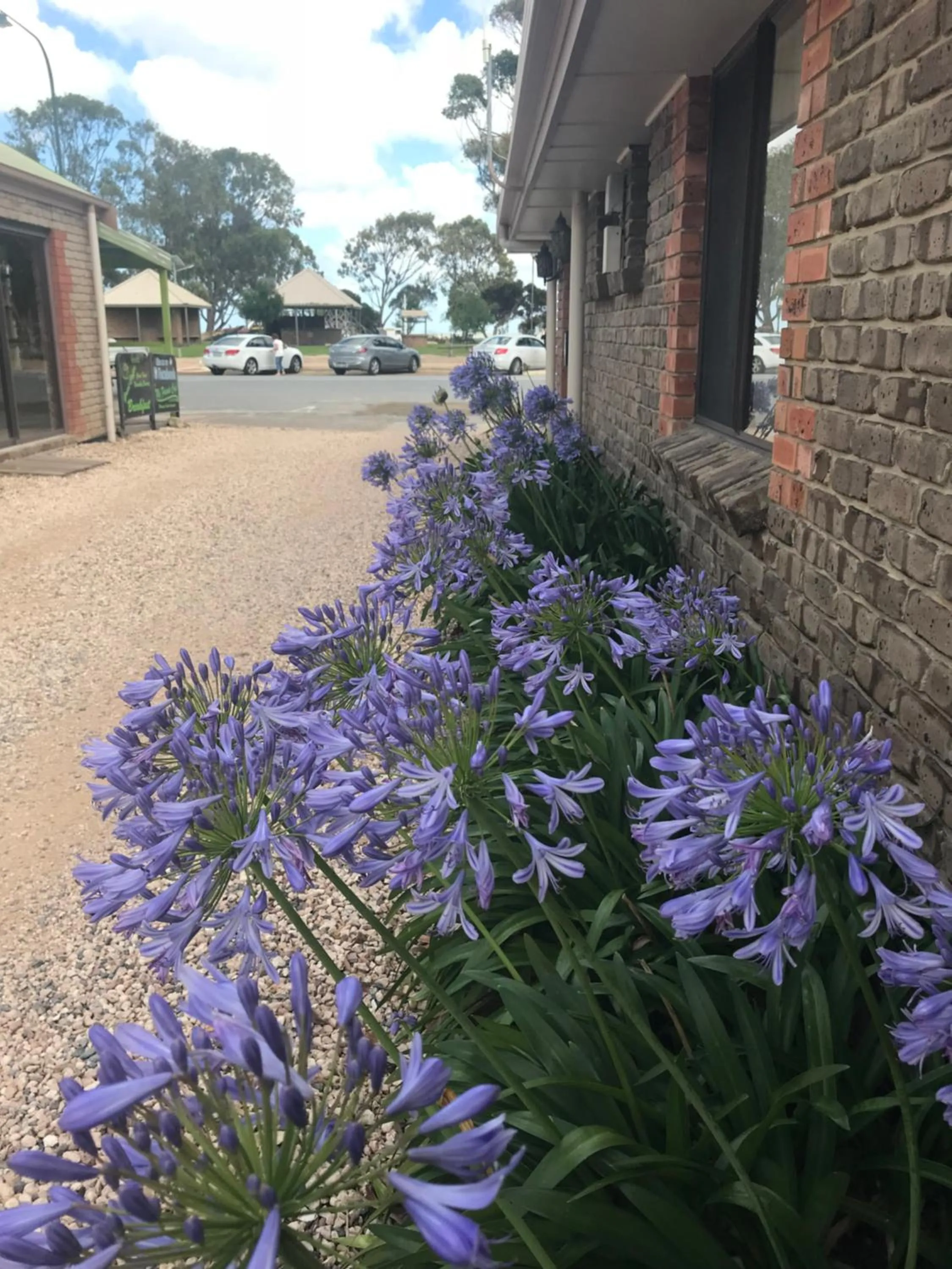 Facade/entrance in Lake Albert Motel