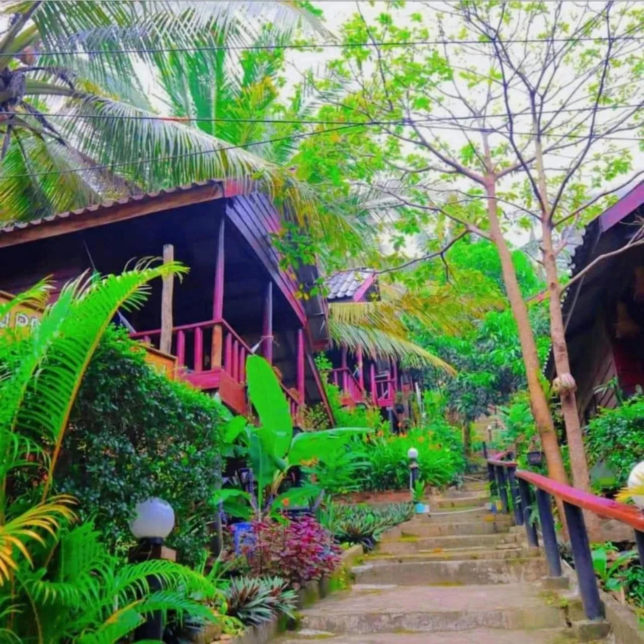 Property building in Happy Elephant Bungalows