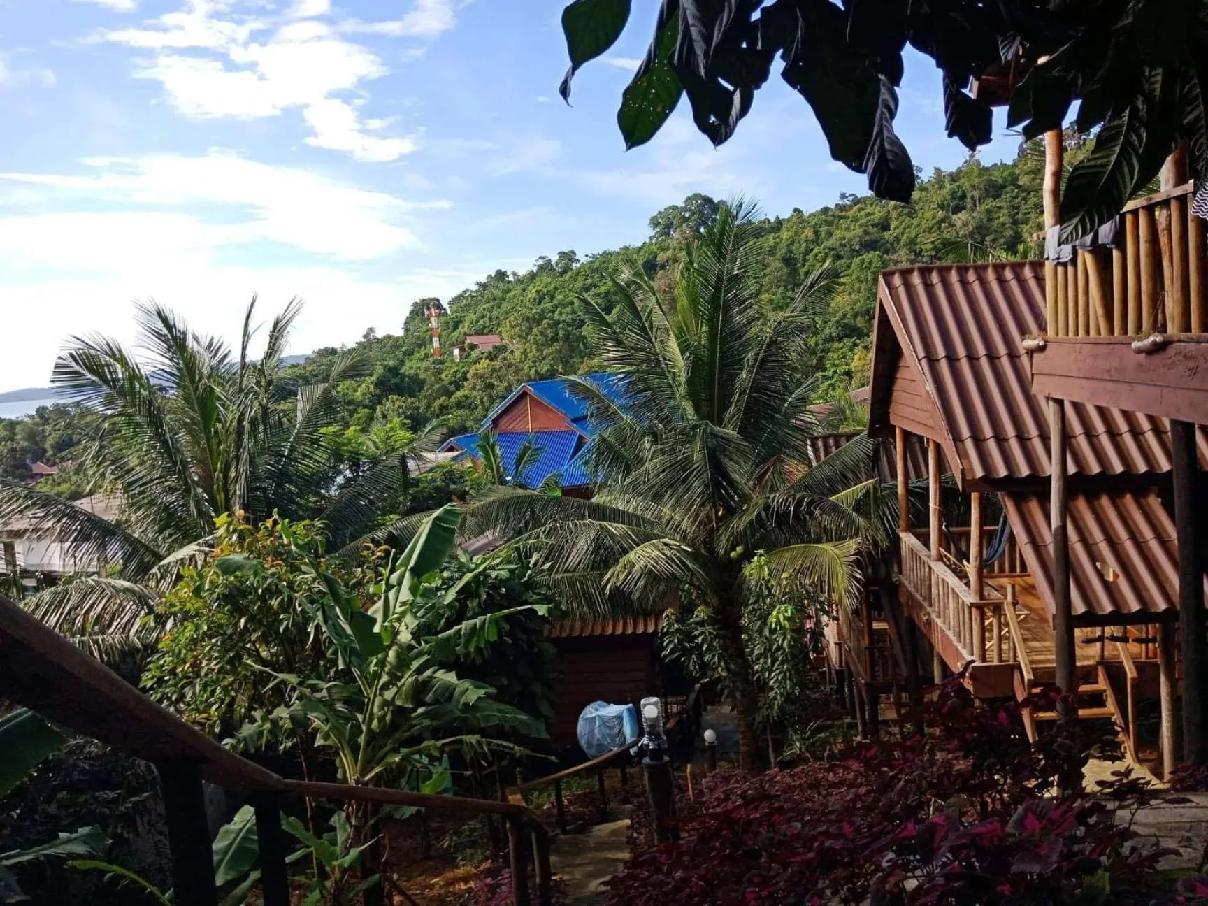 Quiet street view in Happy Elephant Bungalows