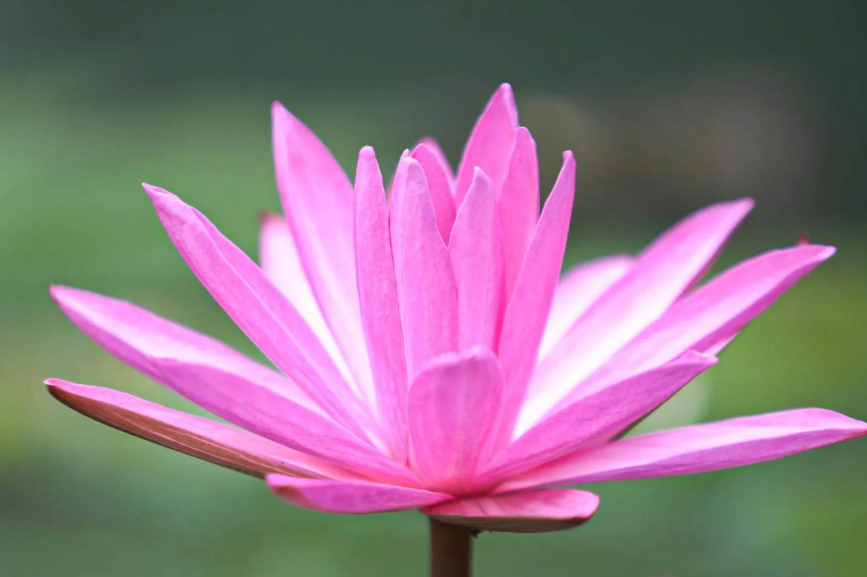 Mekong Long Thanh Resort & Reststop