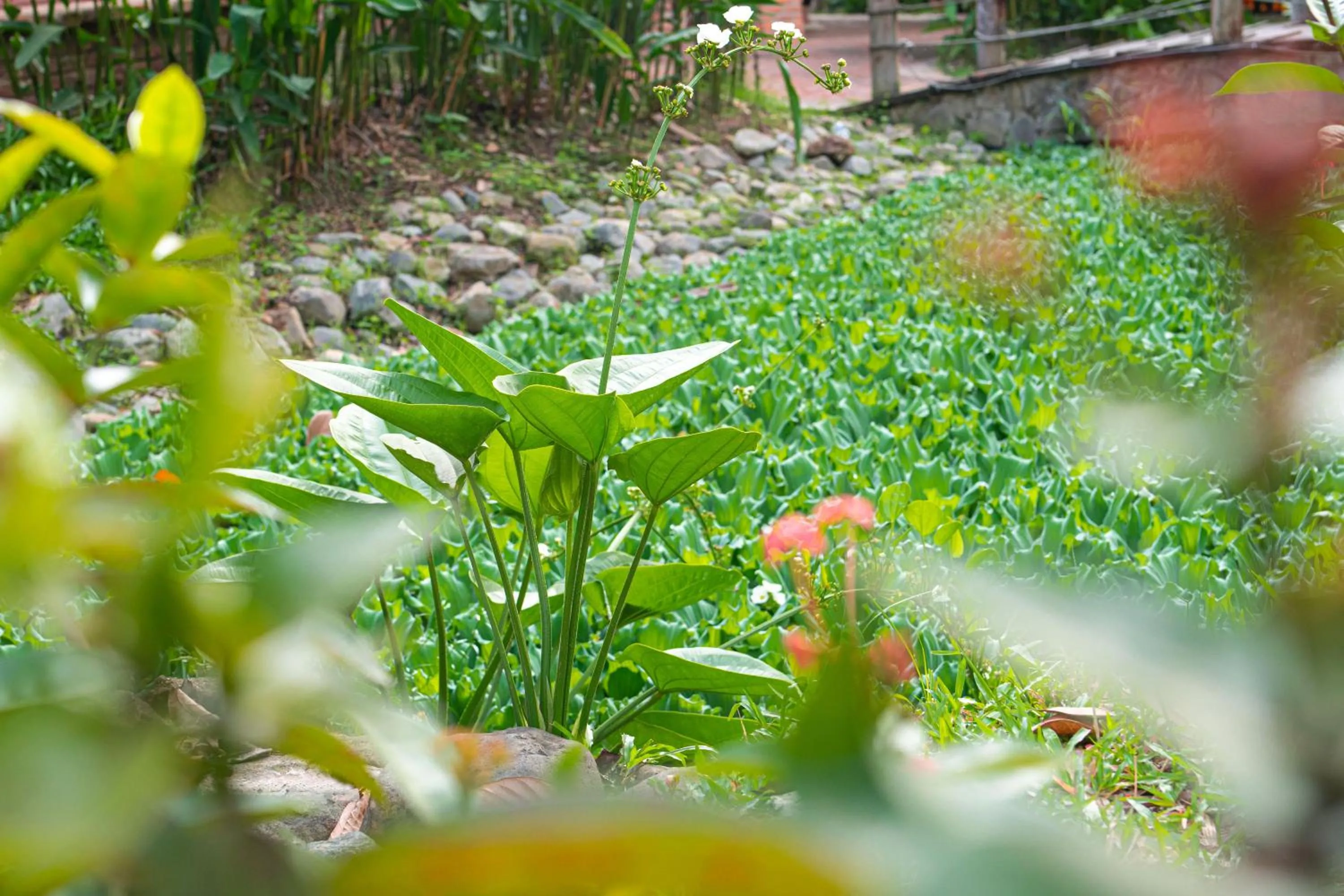 Mekong Long Thanh Resort & Reststop