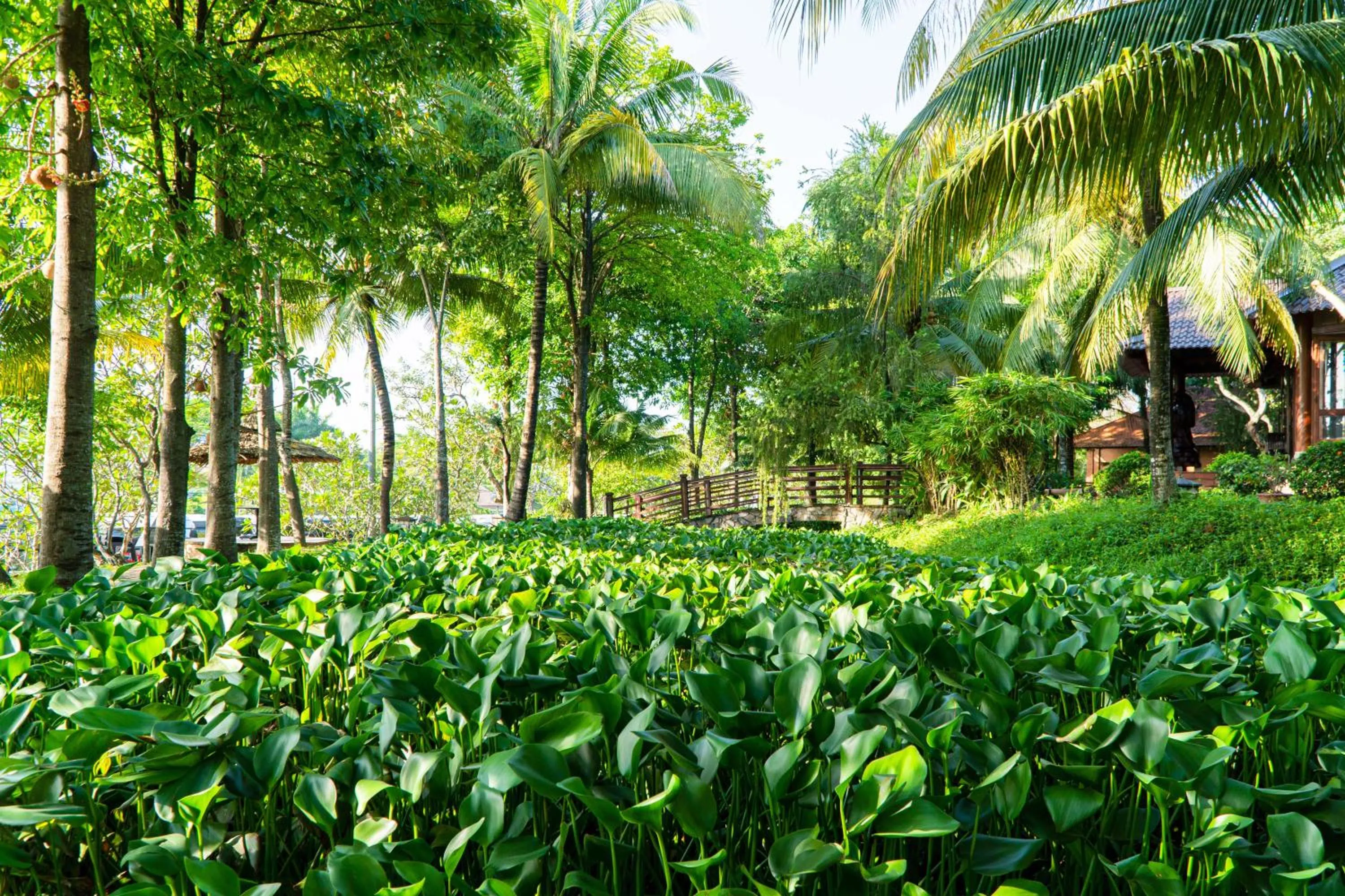 Mekong Long Thanh Resort & Reststop