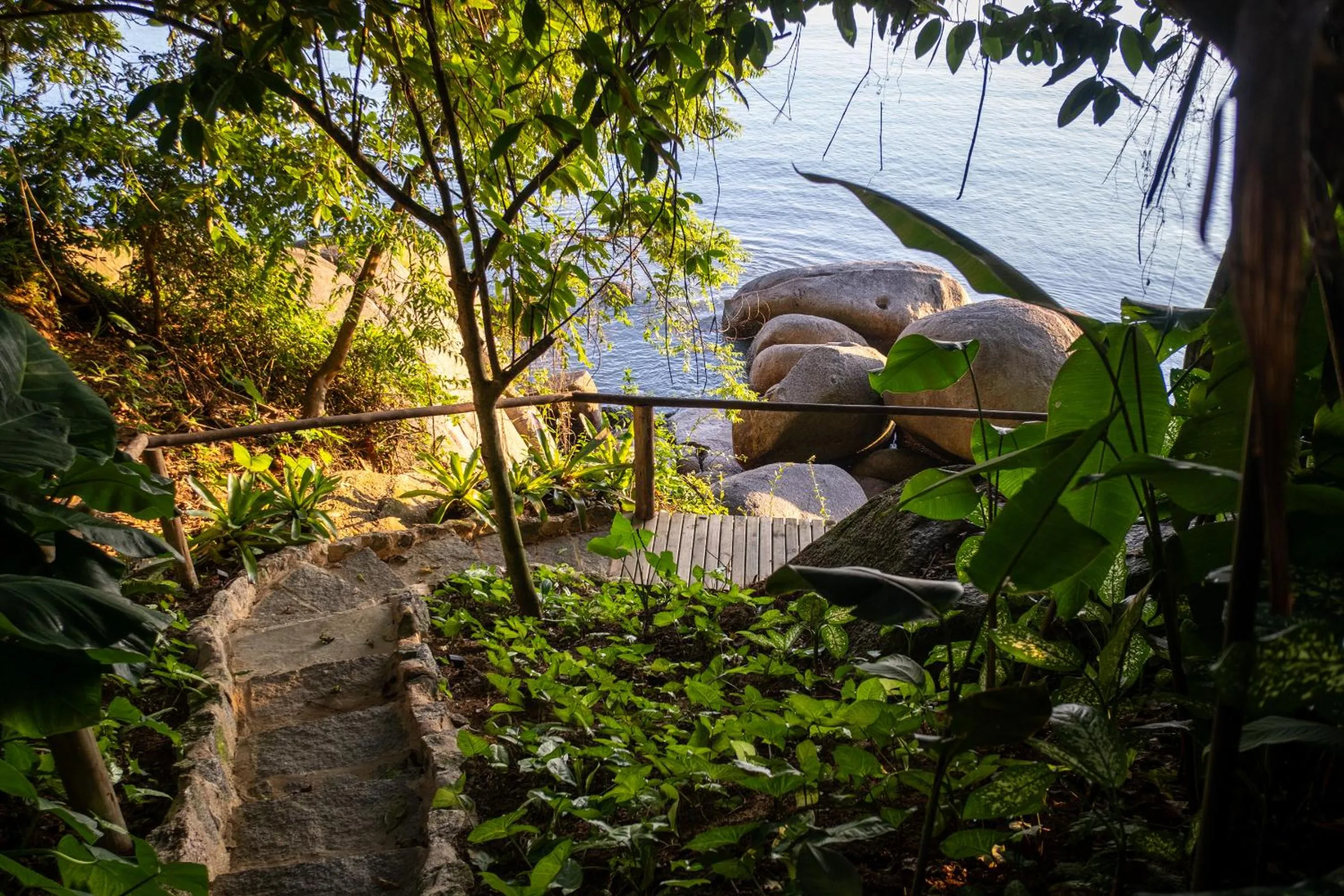 Natural landscape in Casa Luz Paraty