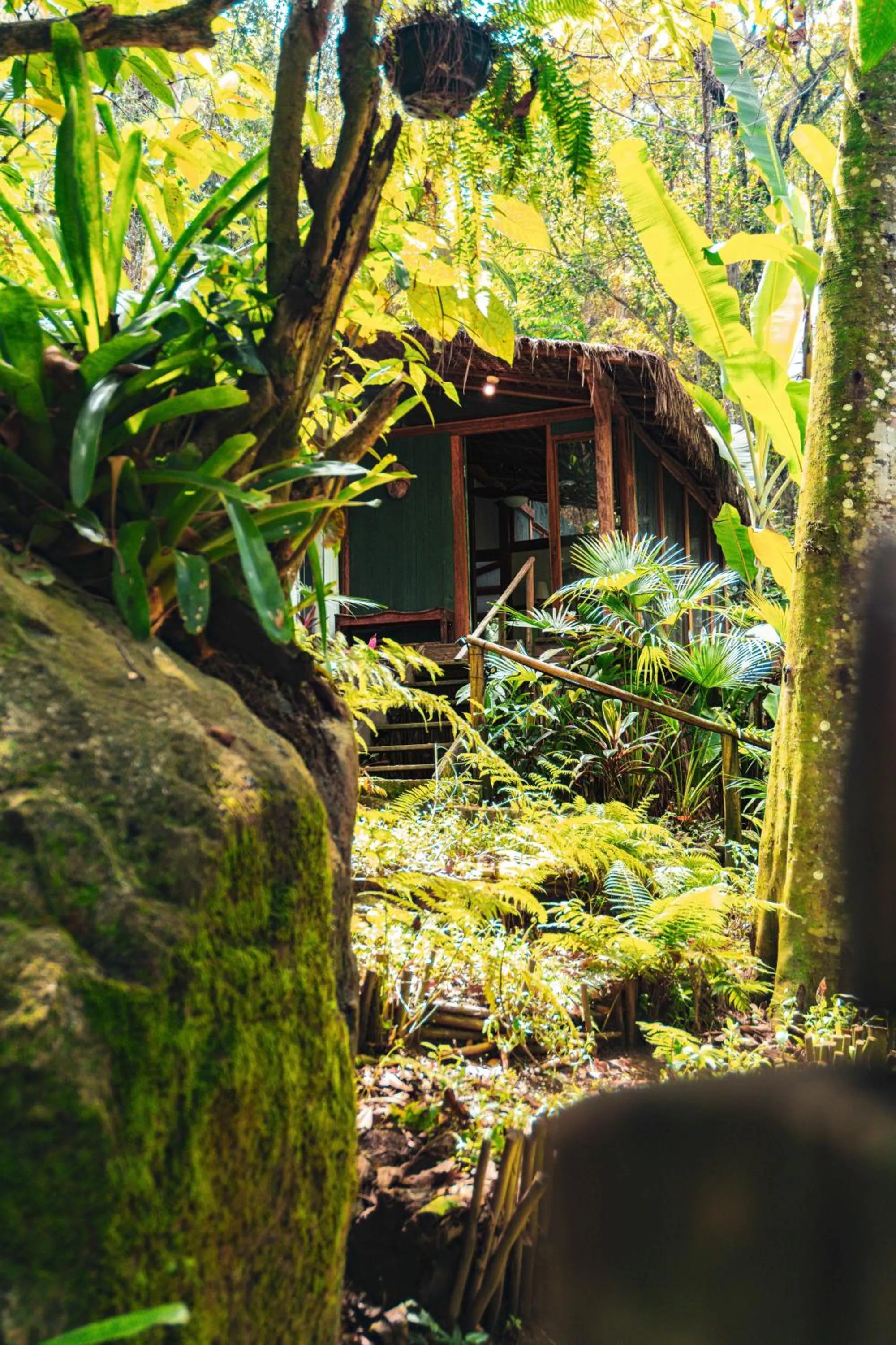 Day in Casa Luz Paraty