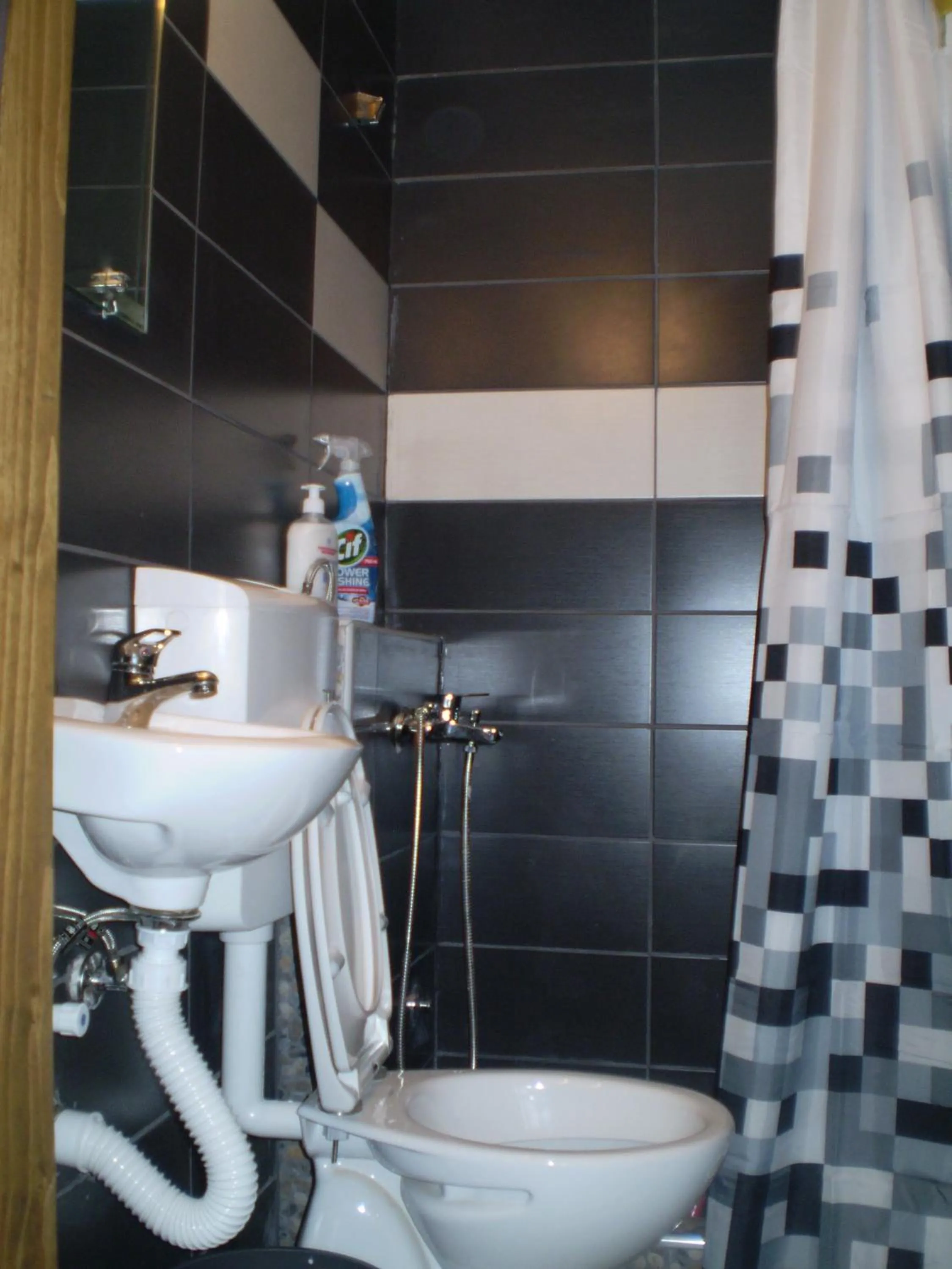 Shower in Apartment Zuric