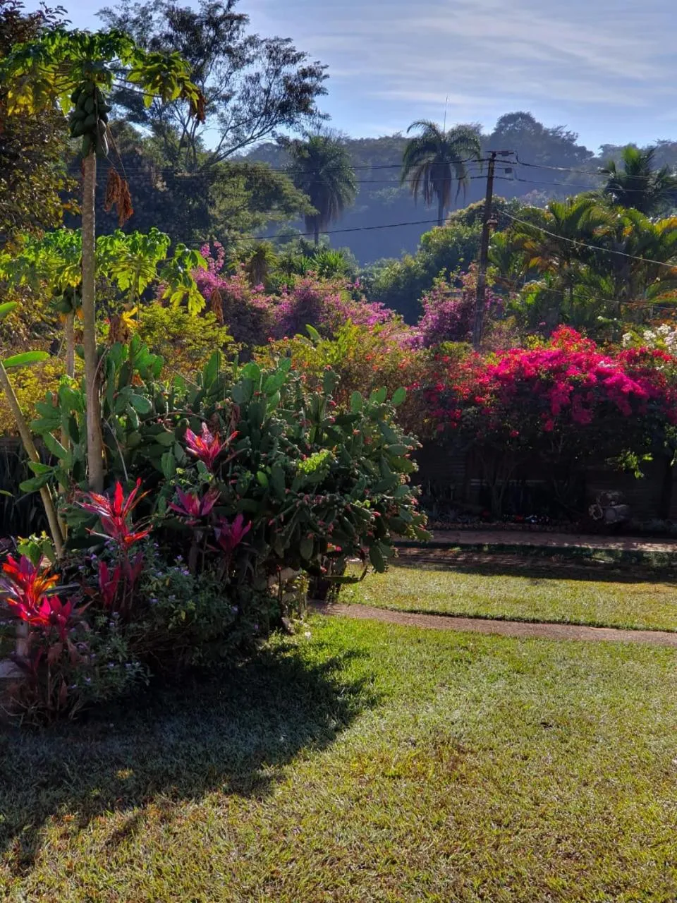 Natural landscape in Estância das Angolas - Inhotim