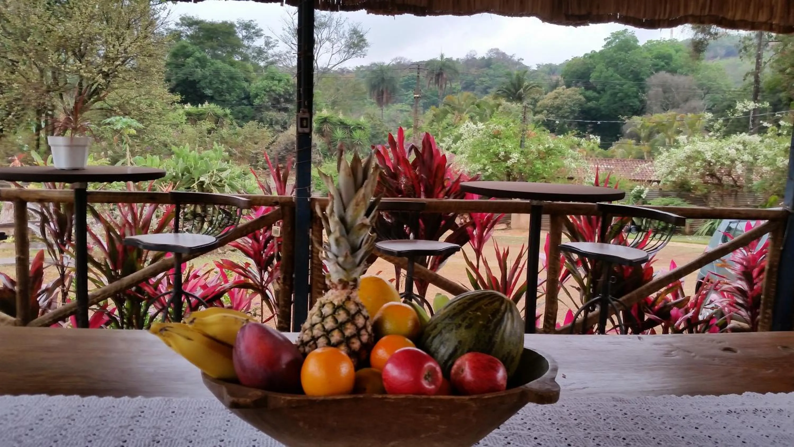 Mountain view in Estância das Angolas - Inhotim