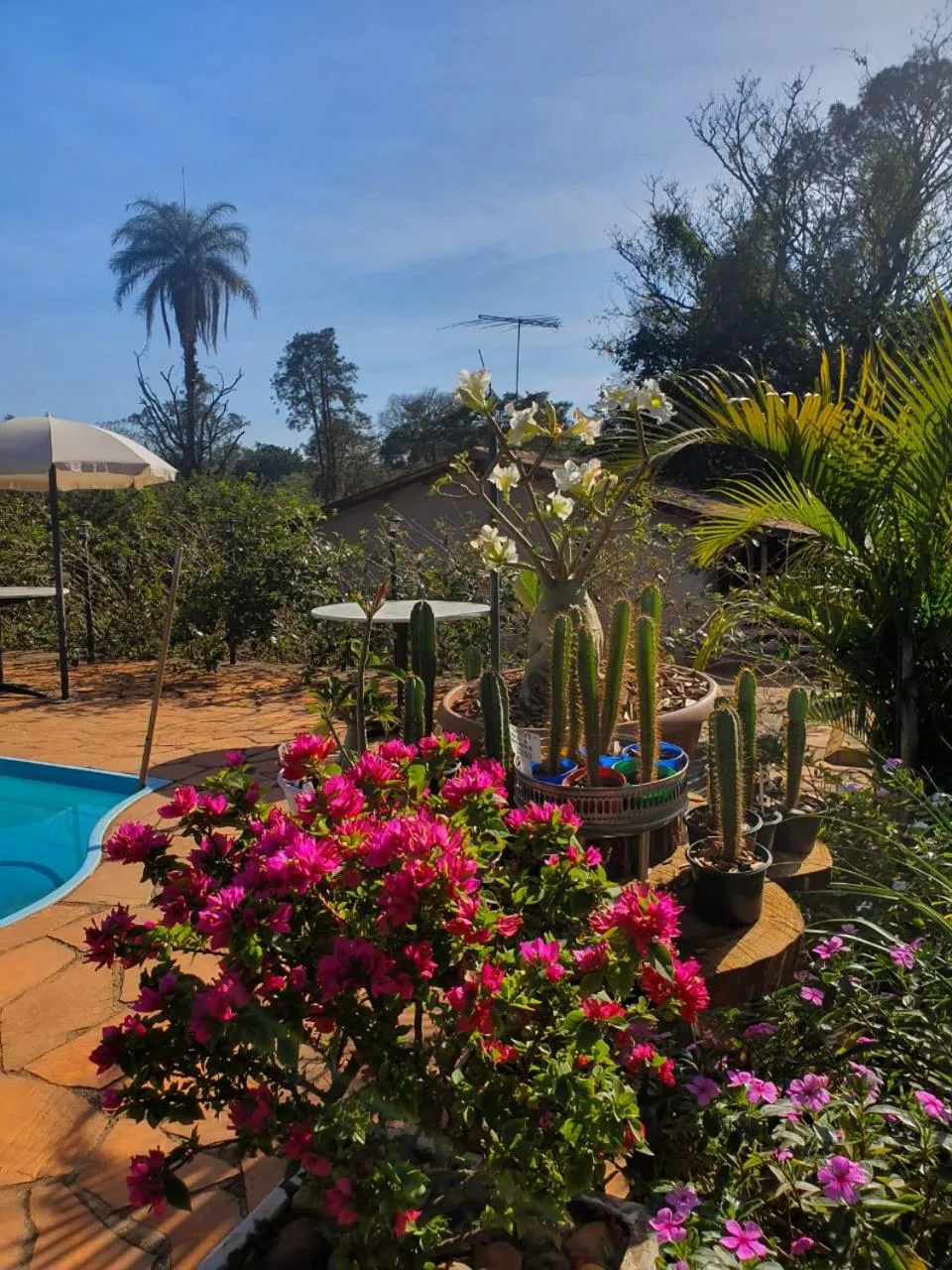 Garden in Estância das Angolas - Inhotim