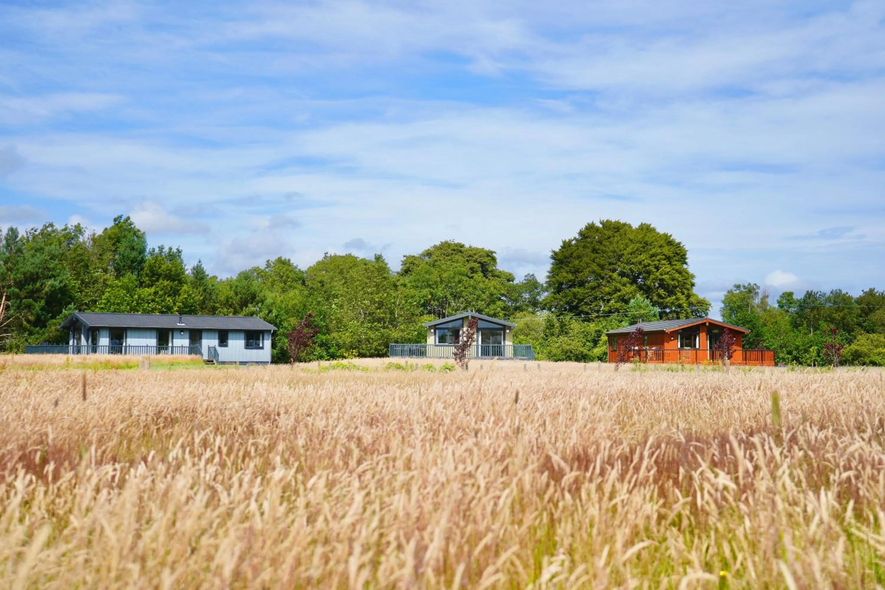 Property building in Linwater Caravan Park - Luxury Lodges and Static Caravans near Edinburgh