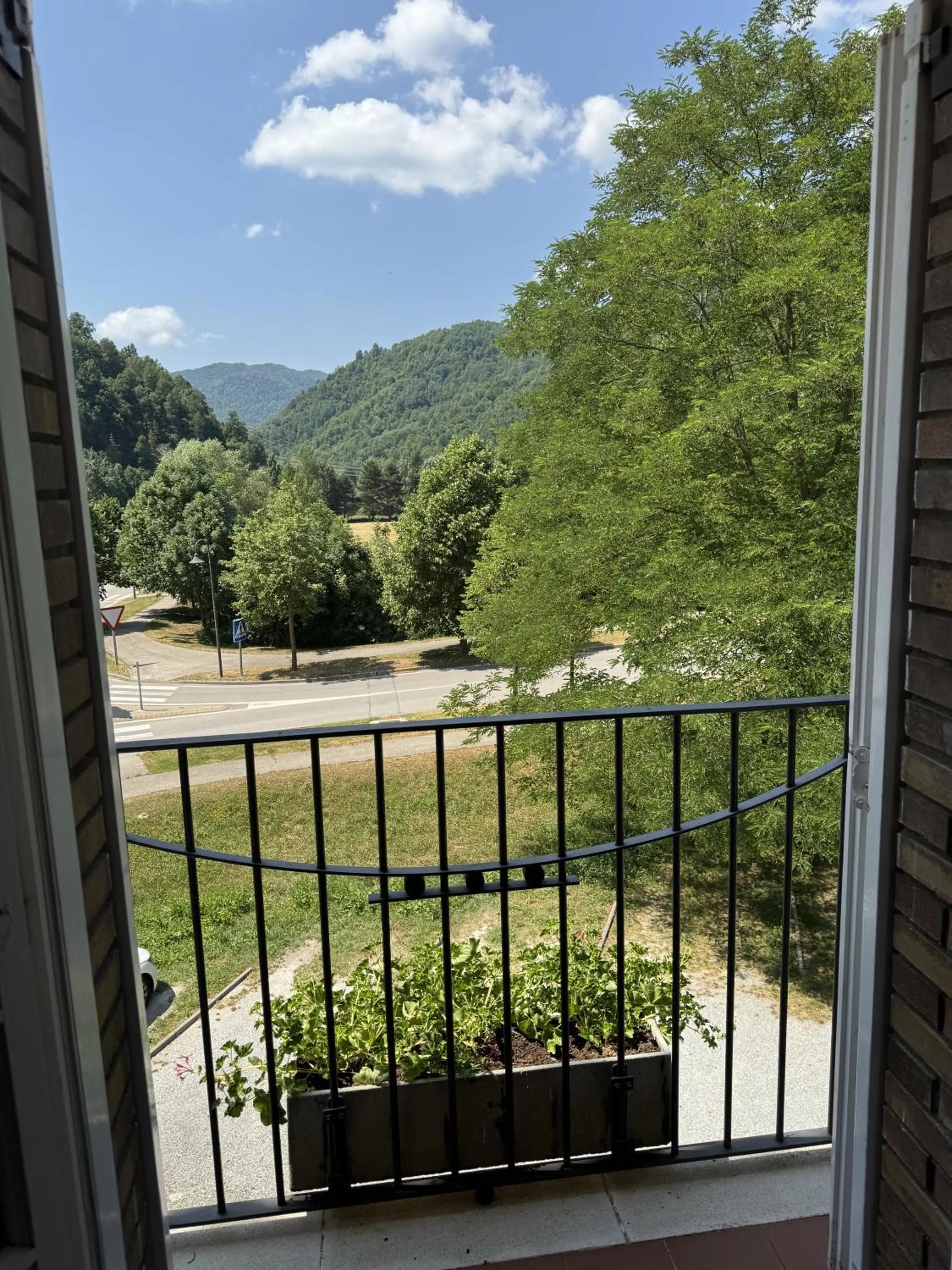 Balcony/Terrace in Hotel Edelweiss