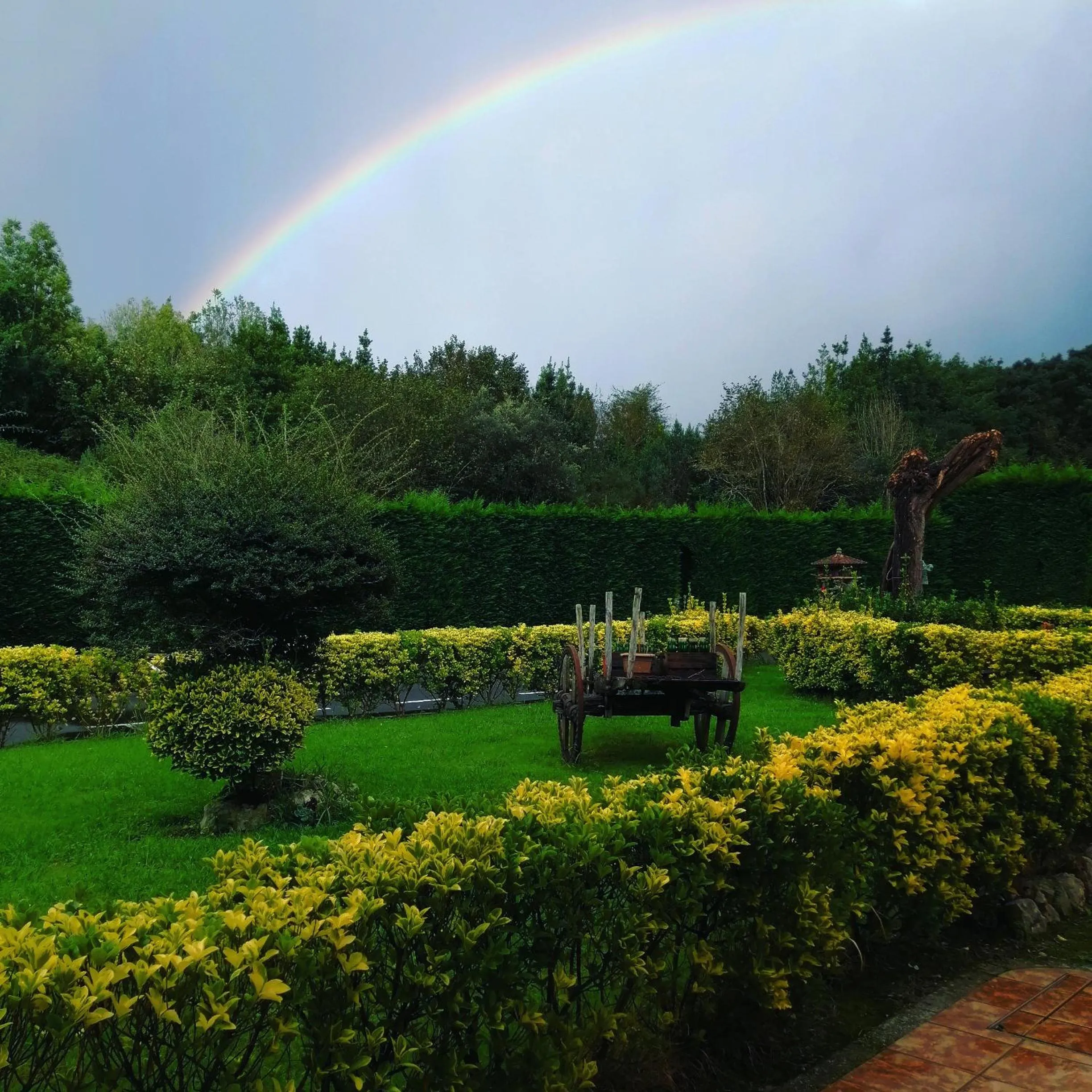 Natural landscape in Hotel Pugide