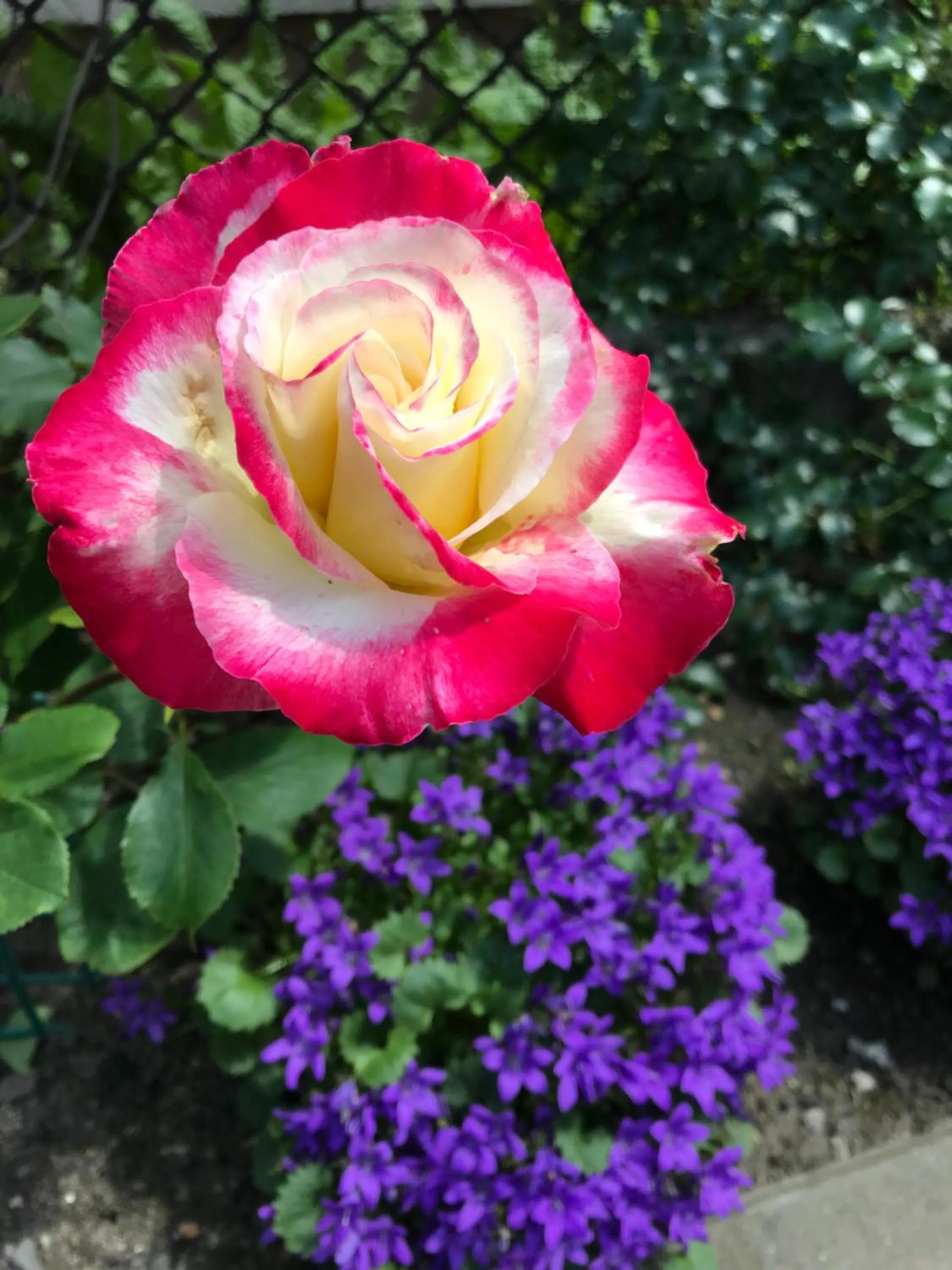 Garden in Kathia Pokoje Gościnne