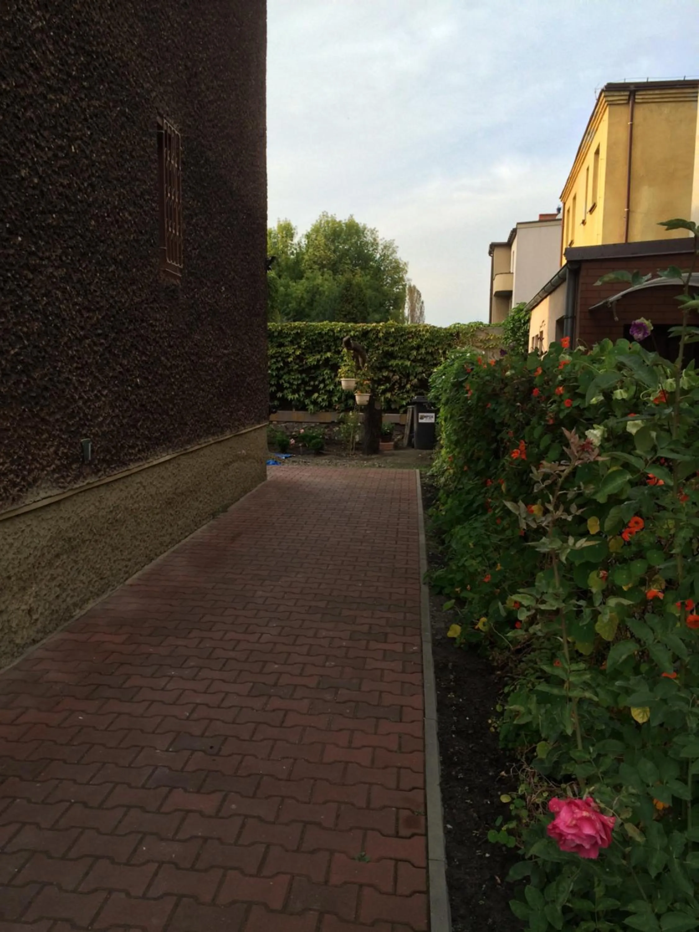 Garden in Kathia Pokoje Gościnne