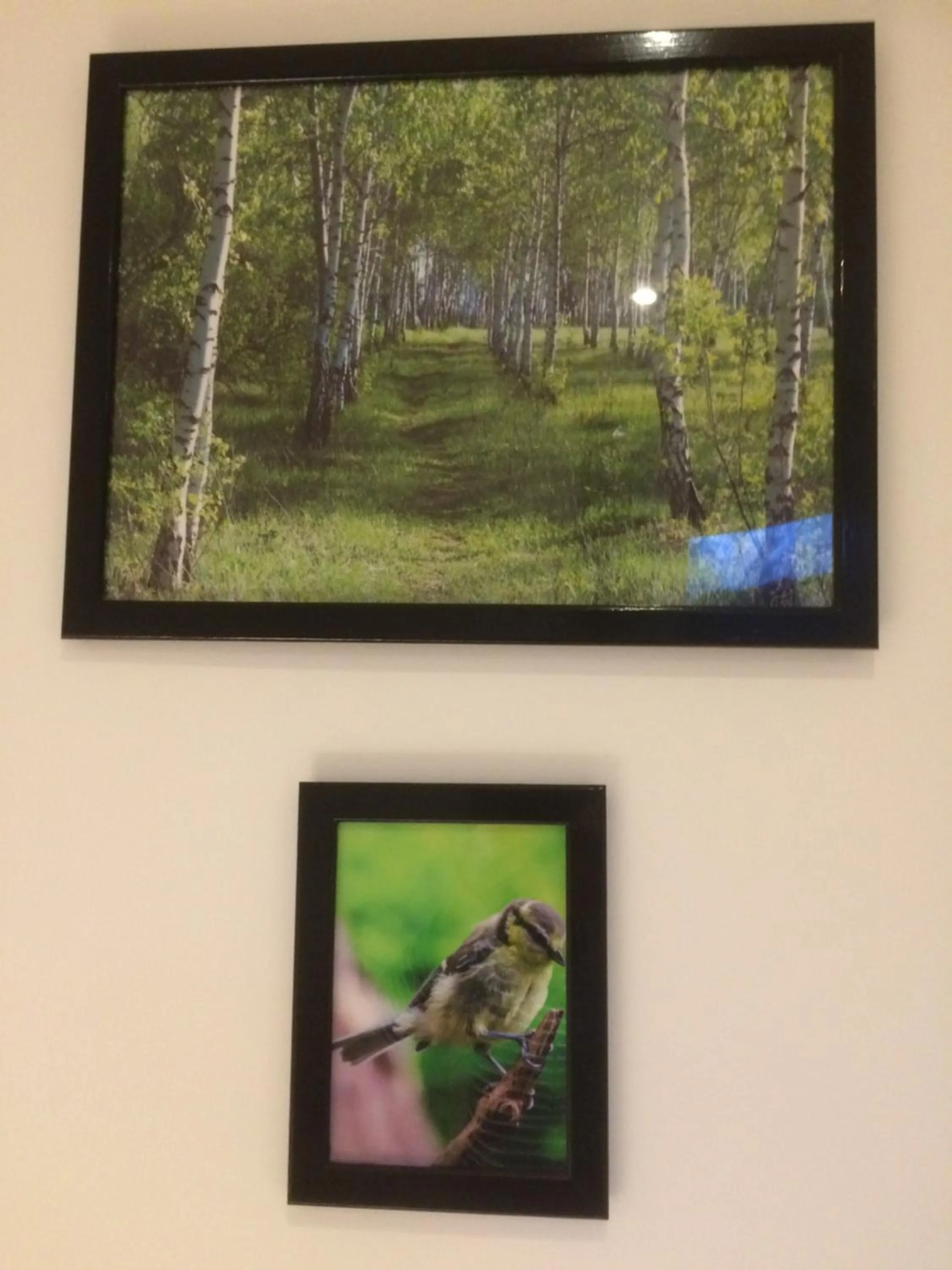 Photo of the whole room in Kathia Pokoje Gościnne