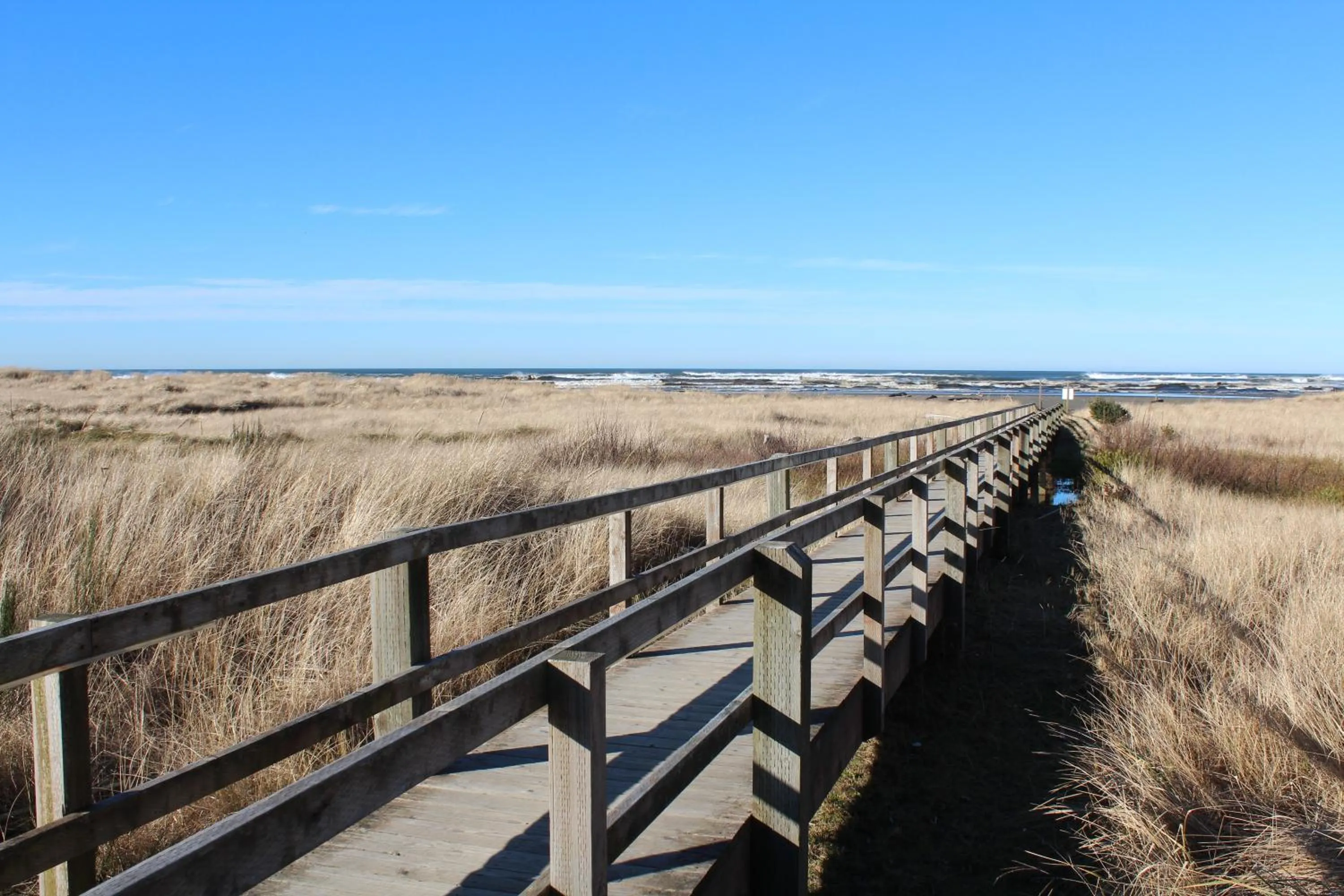 Natural landscape in Quinault Beach Resort & Casino
