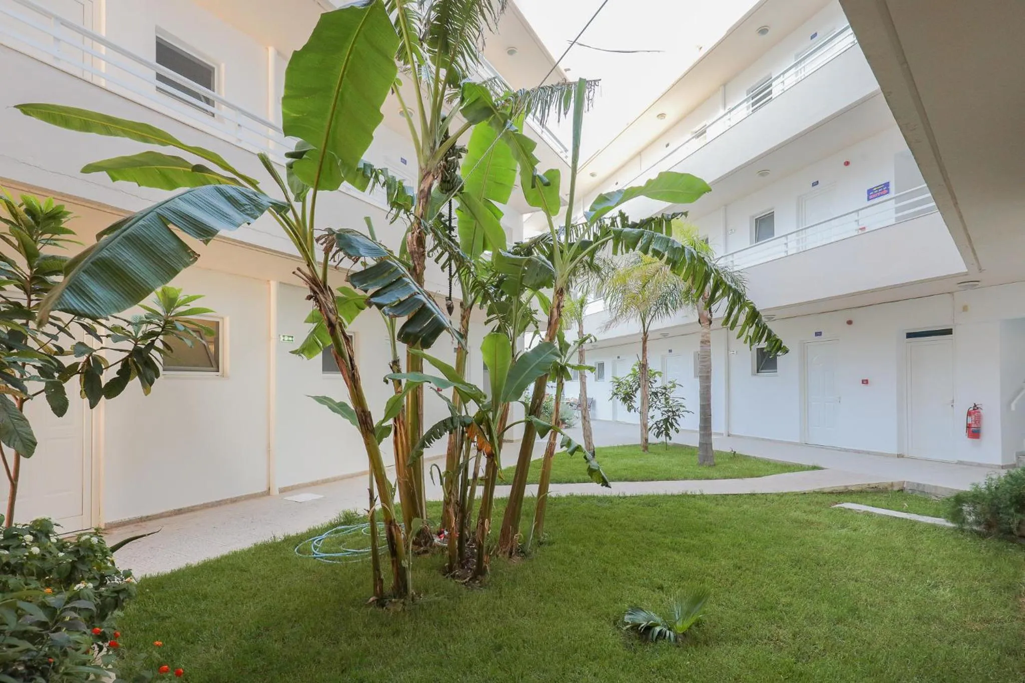 Property building in Faliraki Dream Studios & Apartments