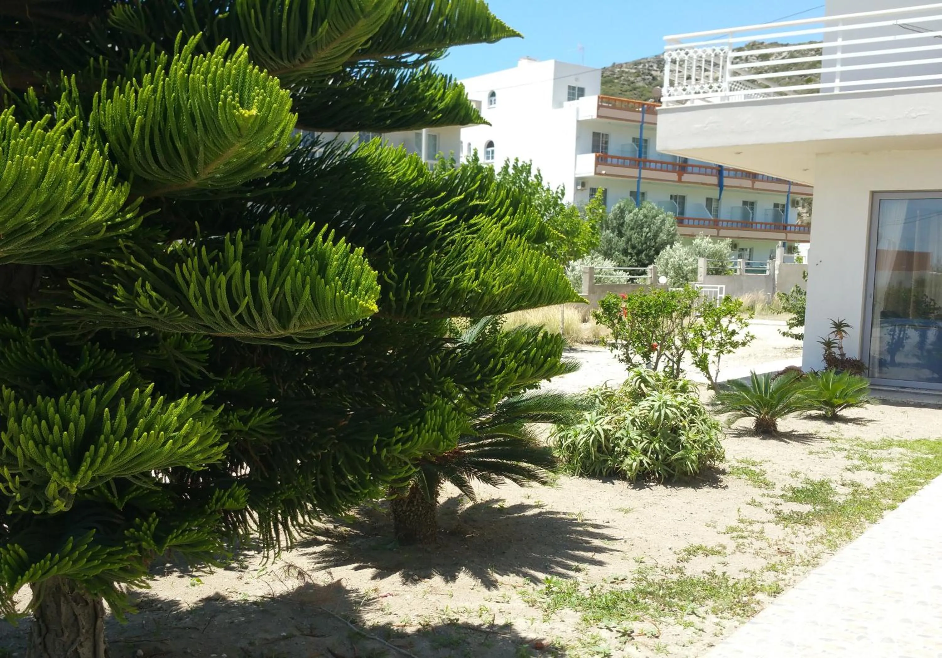 Garden in Faliraki Dream Studios & Apartments
