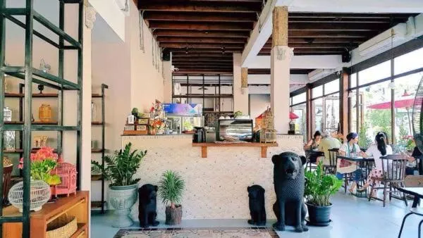 group of guests in See You Soon, Chiang Mai