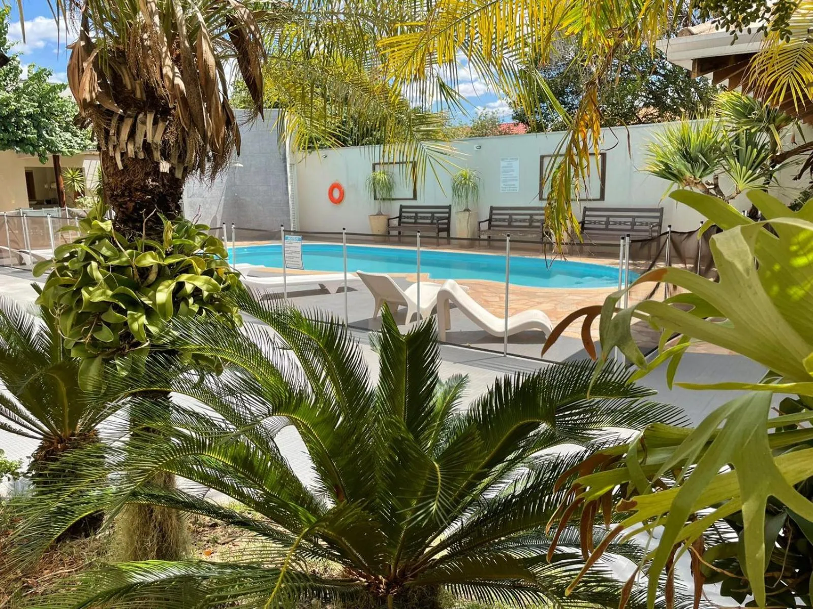 Pool view in Hotel Jardim