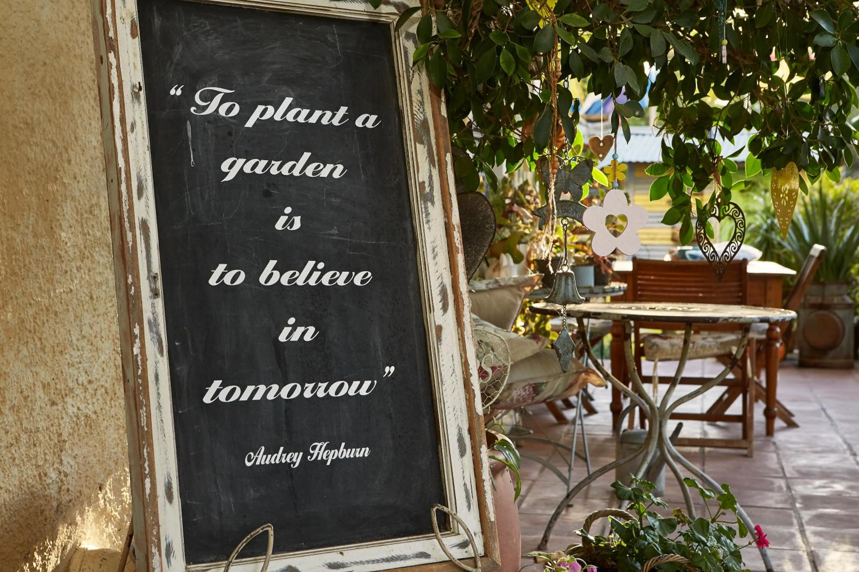 Garden in Yellow Aloe