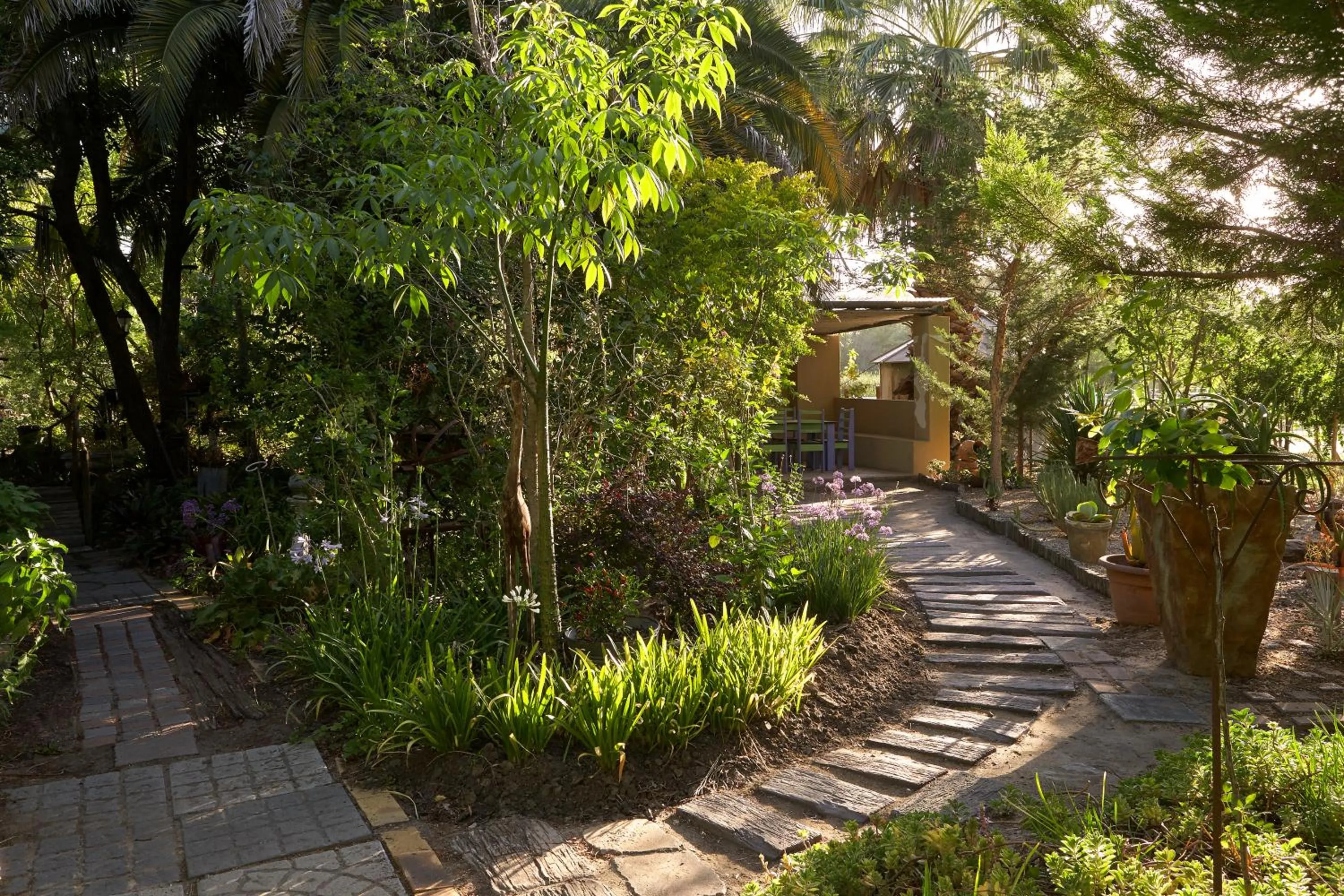 Garden in Yellow Aloe