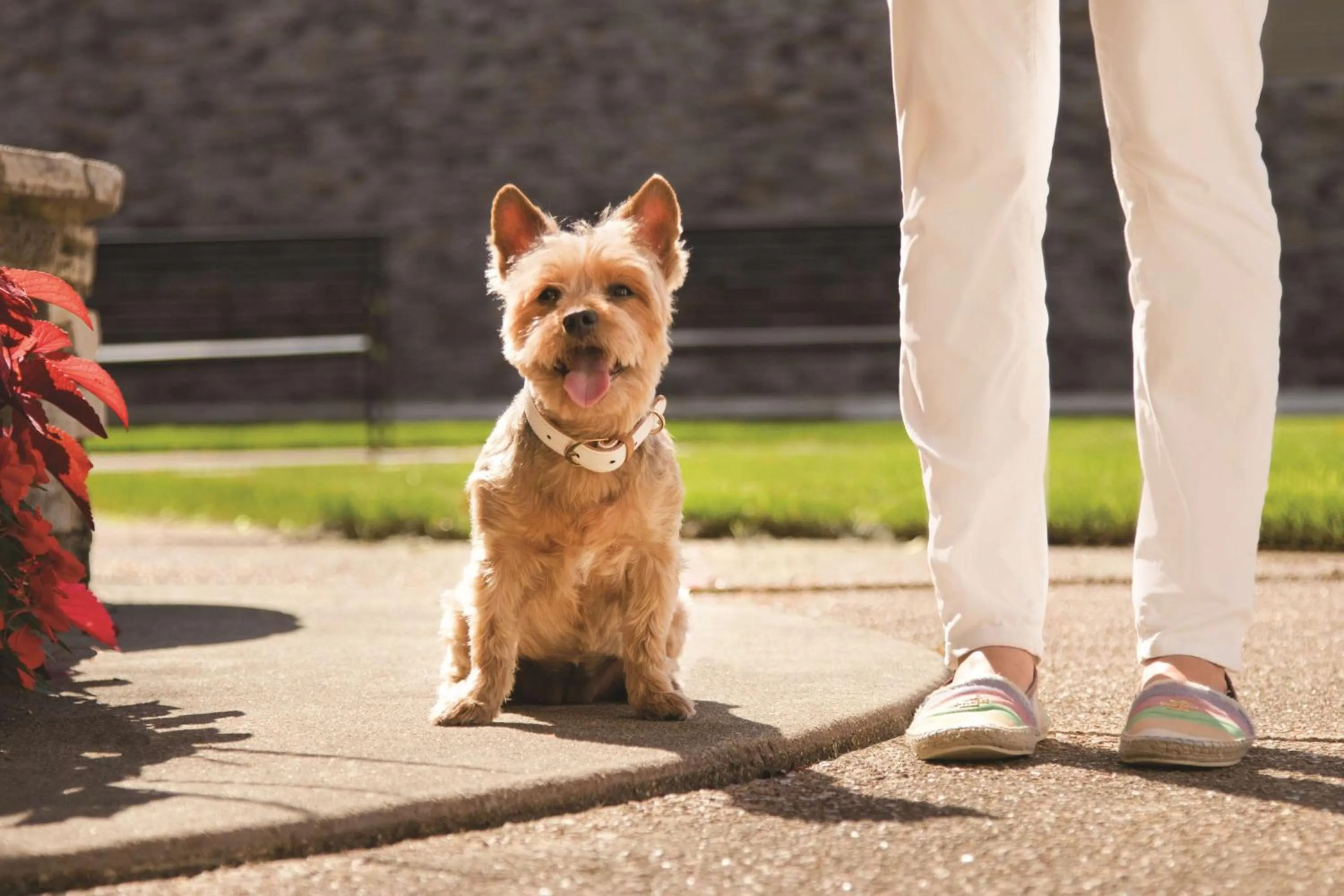 Fitness centre/facilities in Hyatt Place Chicago O'Hare Airport
