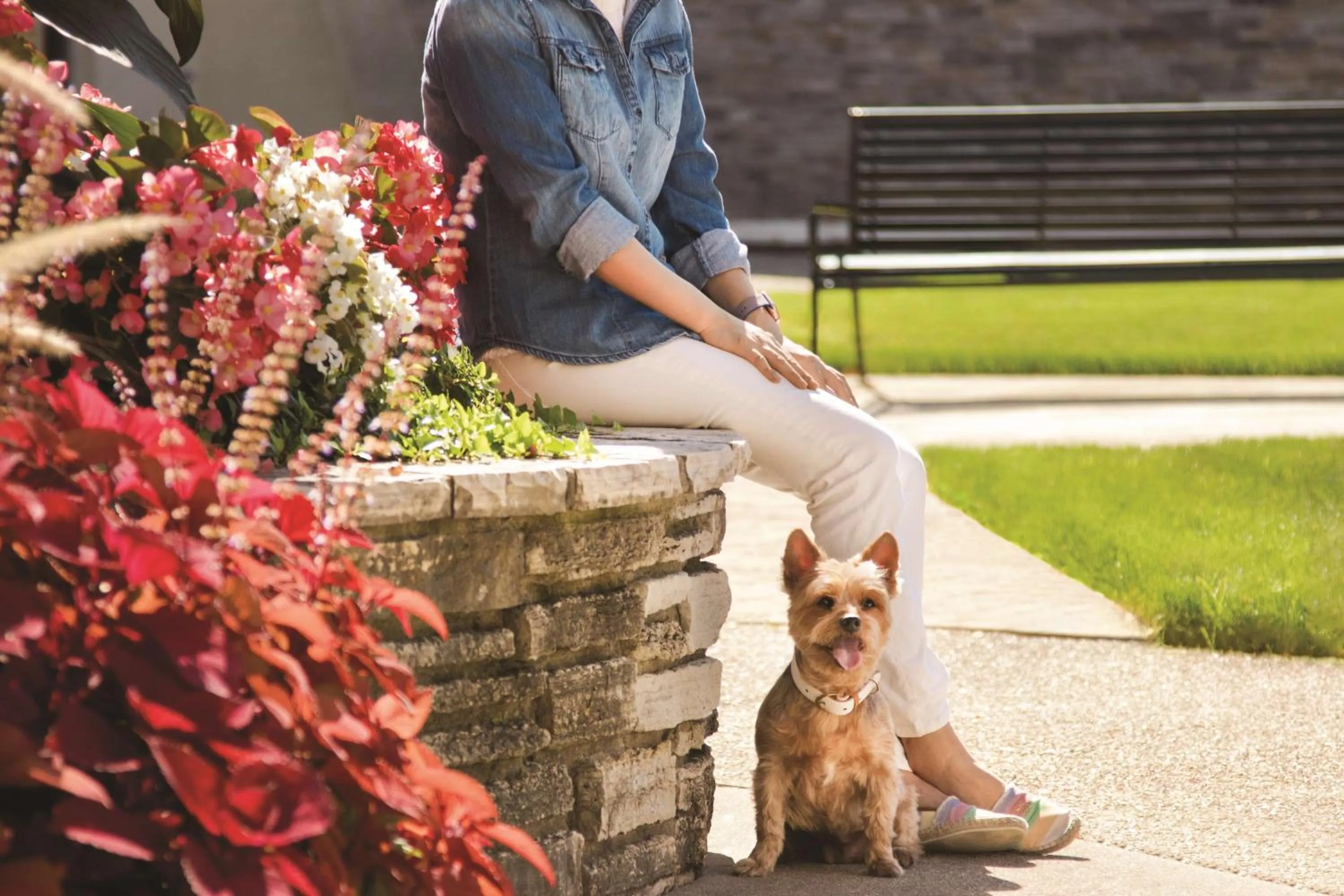 Fitness centre/facilities in Hyatt Place Chicago O'Hare Airport