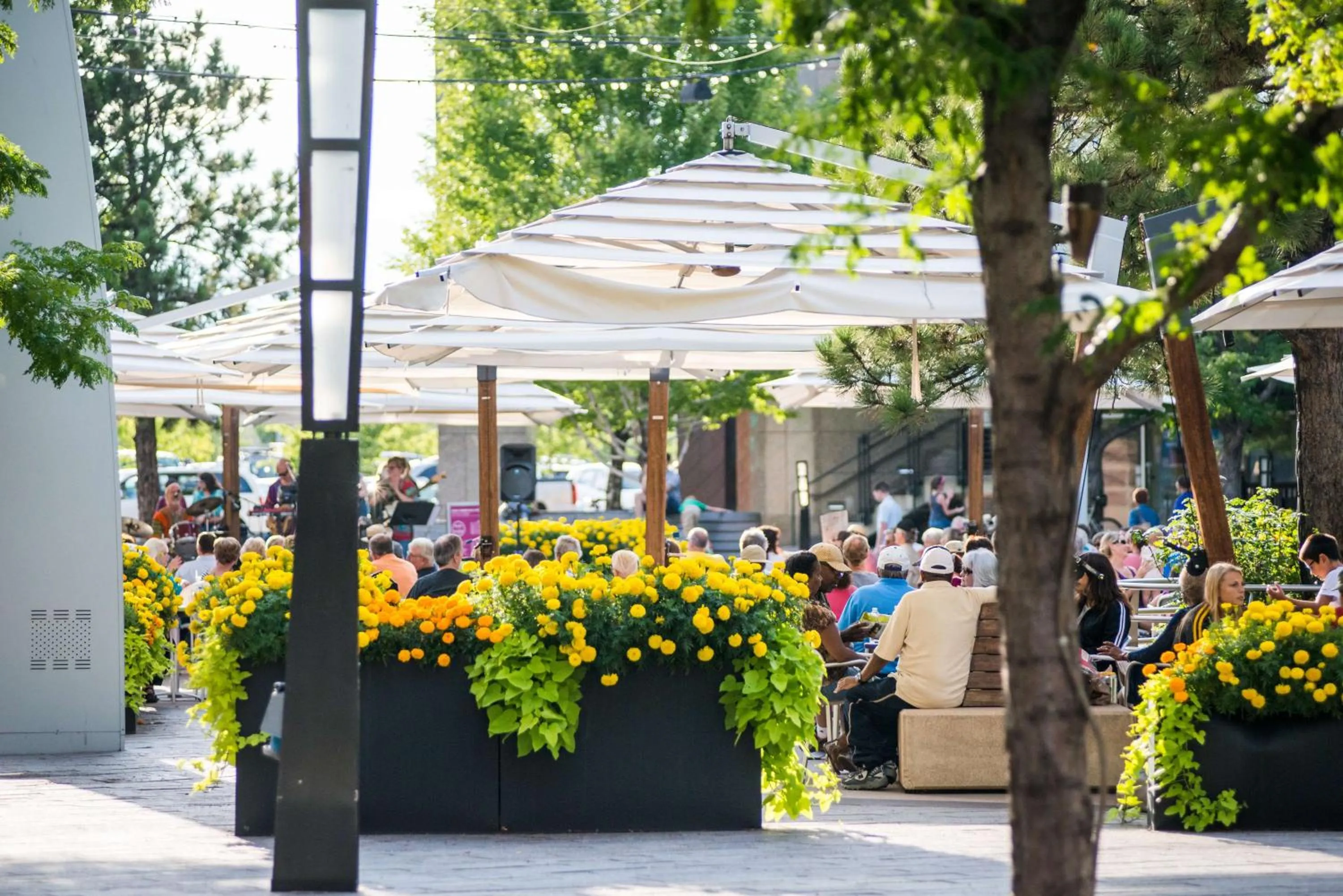 Location in Hyatt House Denver Lakewood Belmar