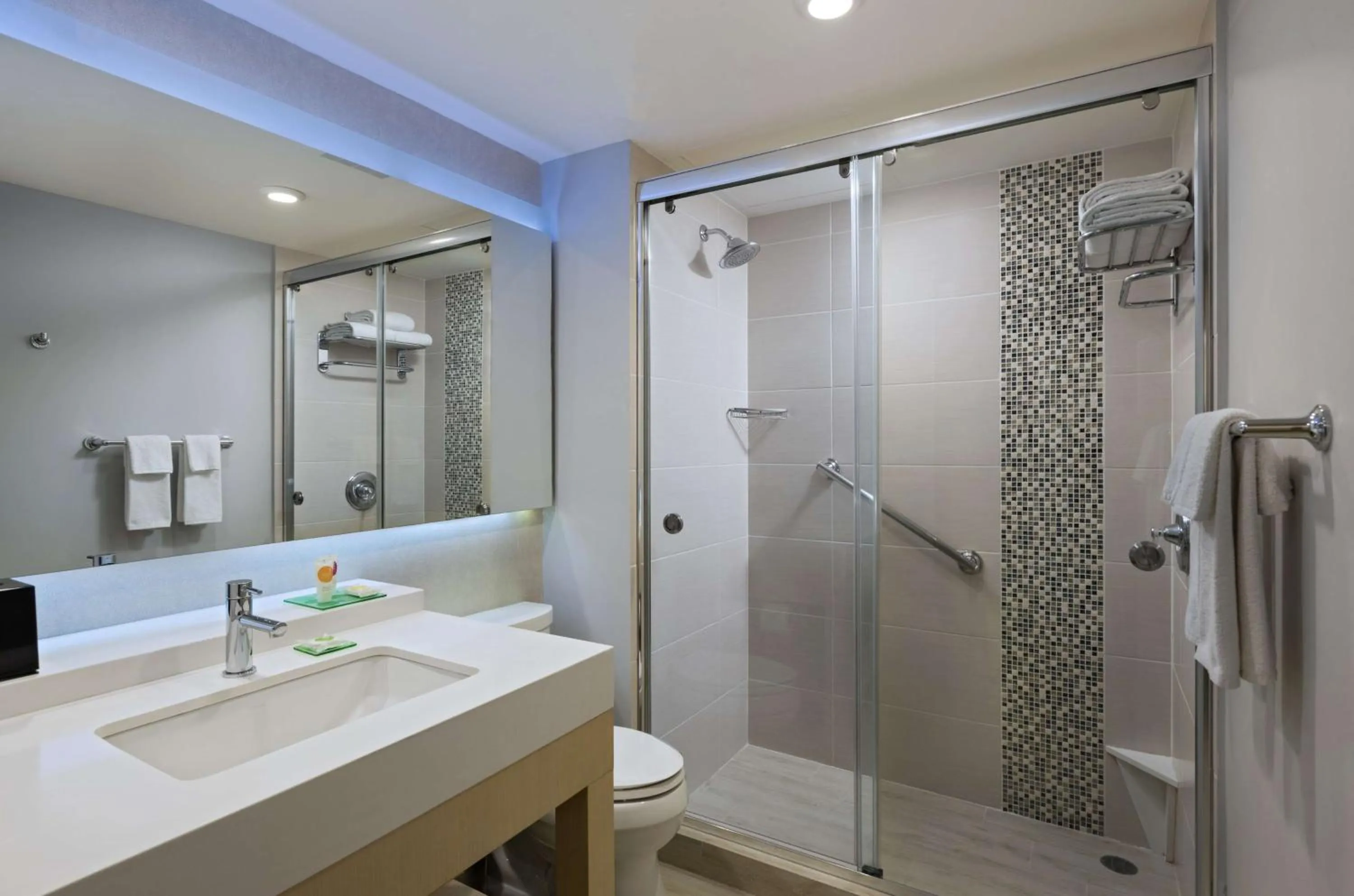 Bathroom in Hyatt Place Managua