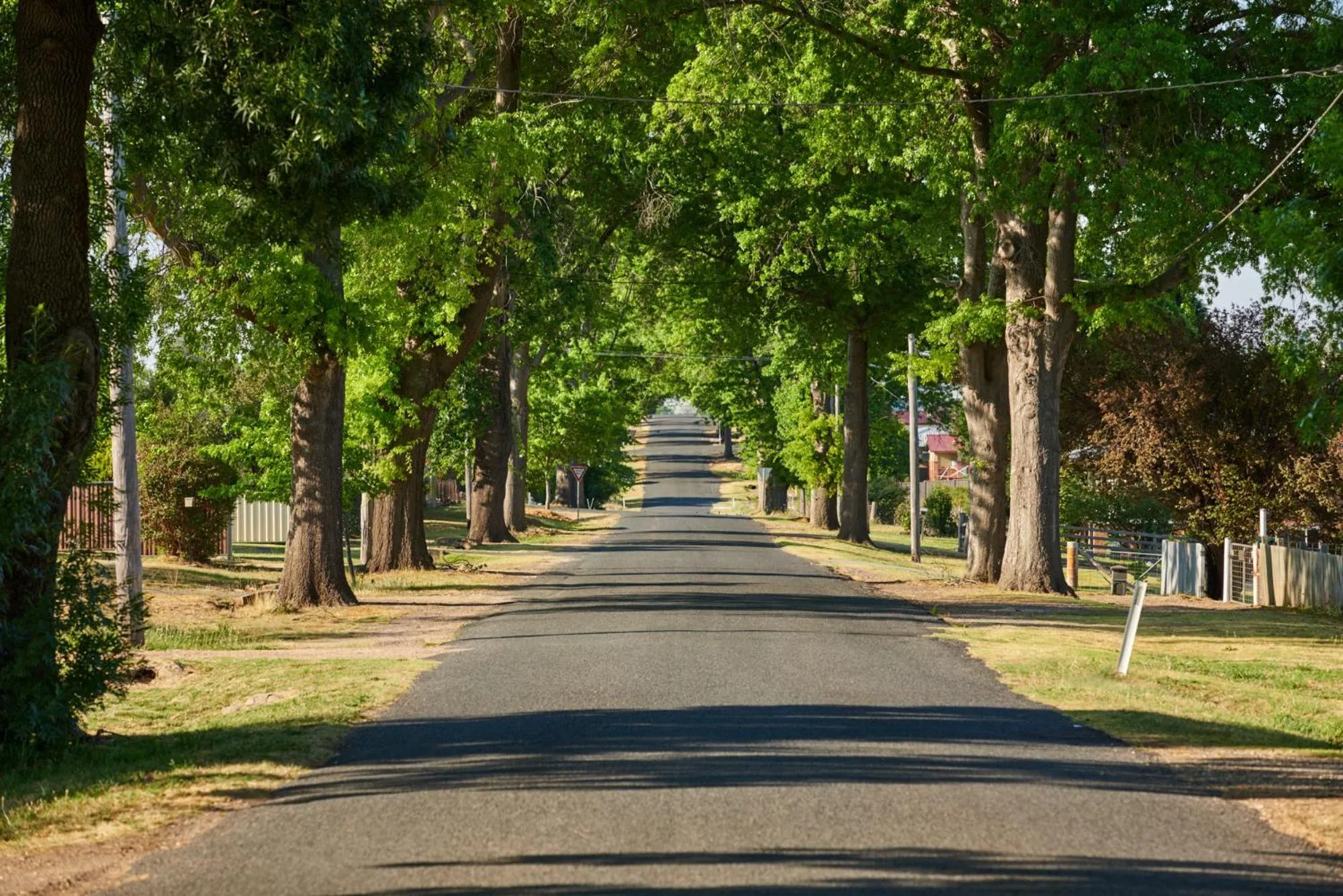 Tenterfield Lodge Caravan Park