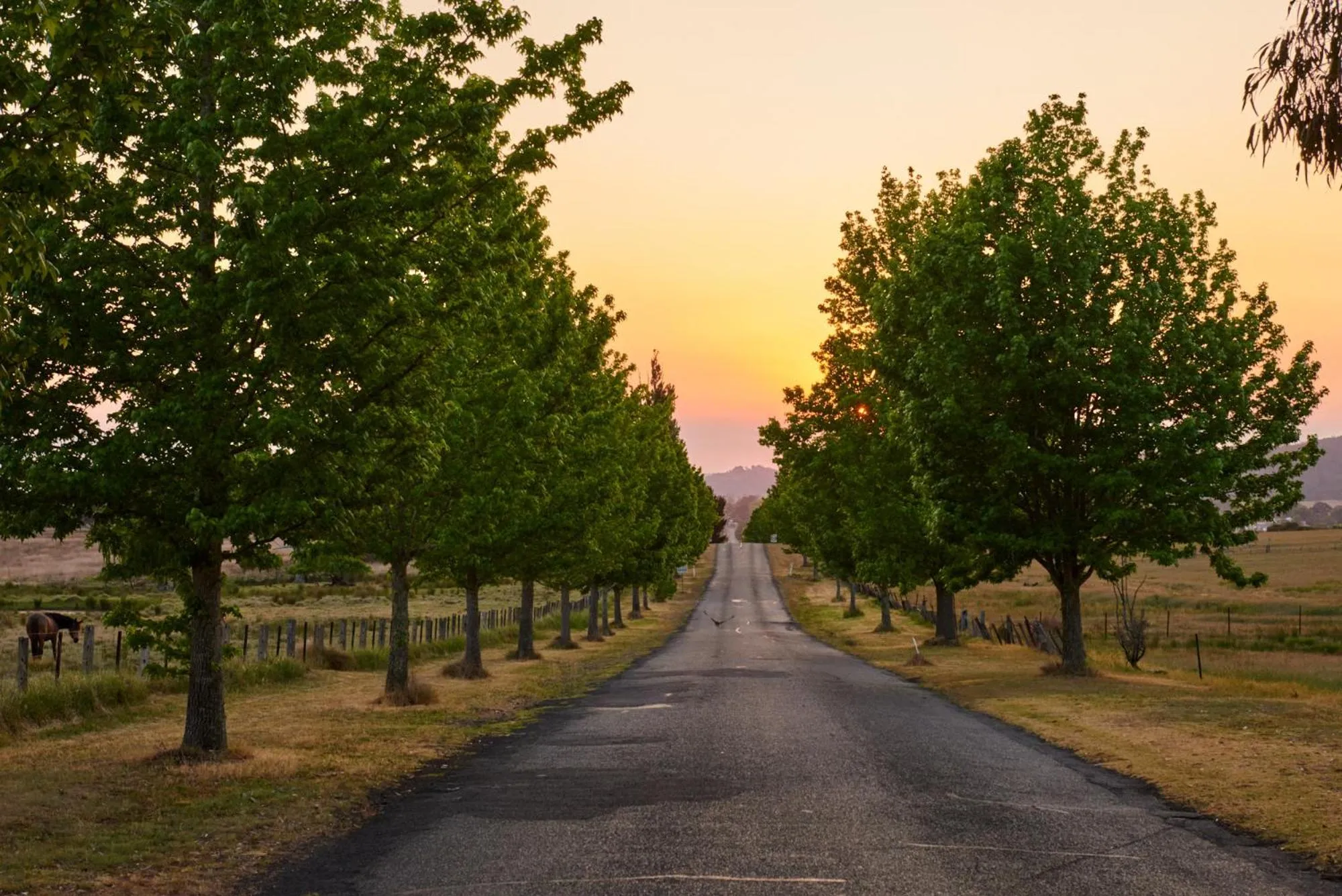 Tenterfield Lodge Caravan Park