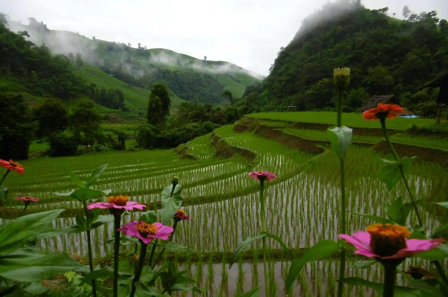 Mountain view in KowitFarmstay