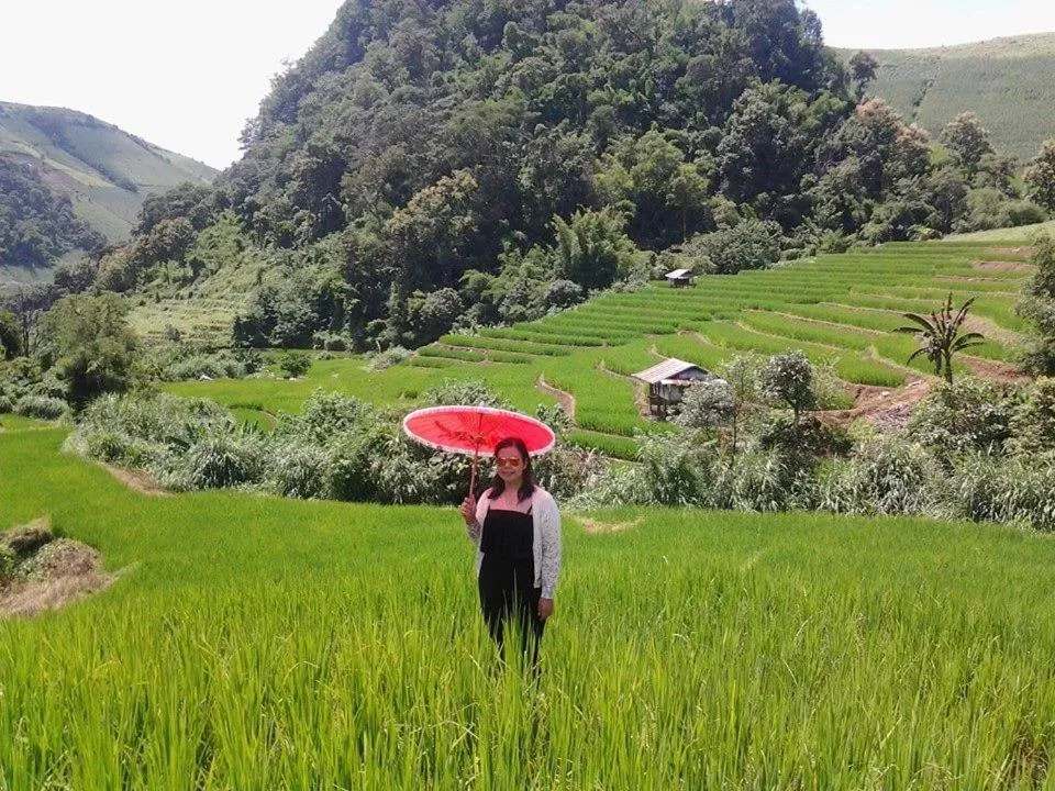 On site in KowitFarmstay