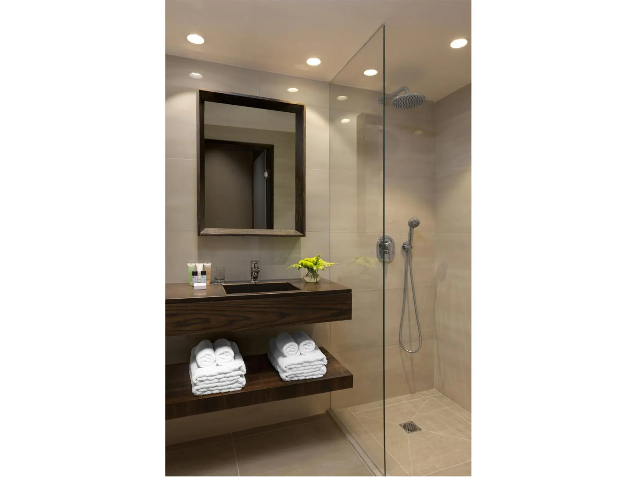 Superior Double or Twin Room - single occupancy in Golden Crown Haifa