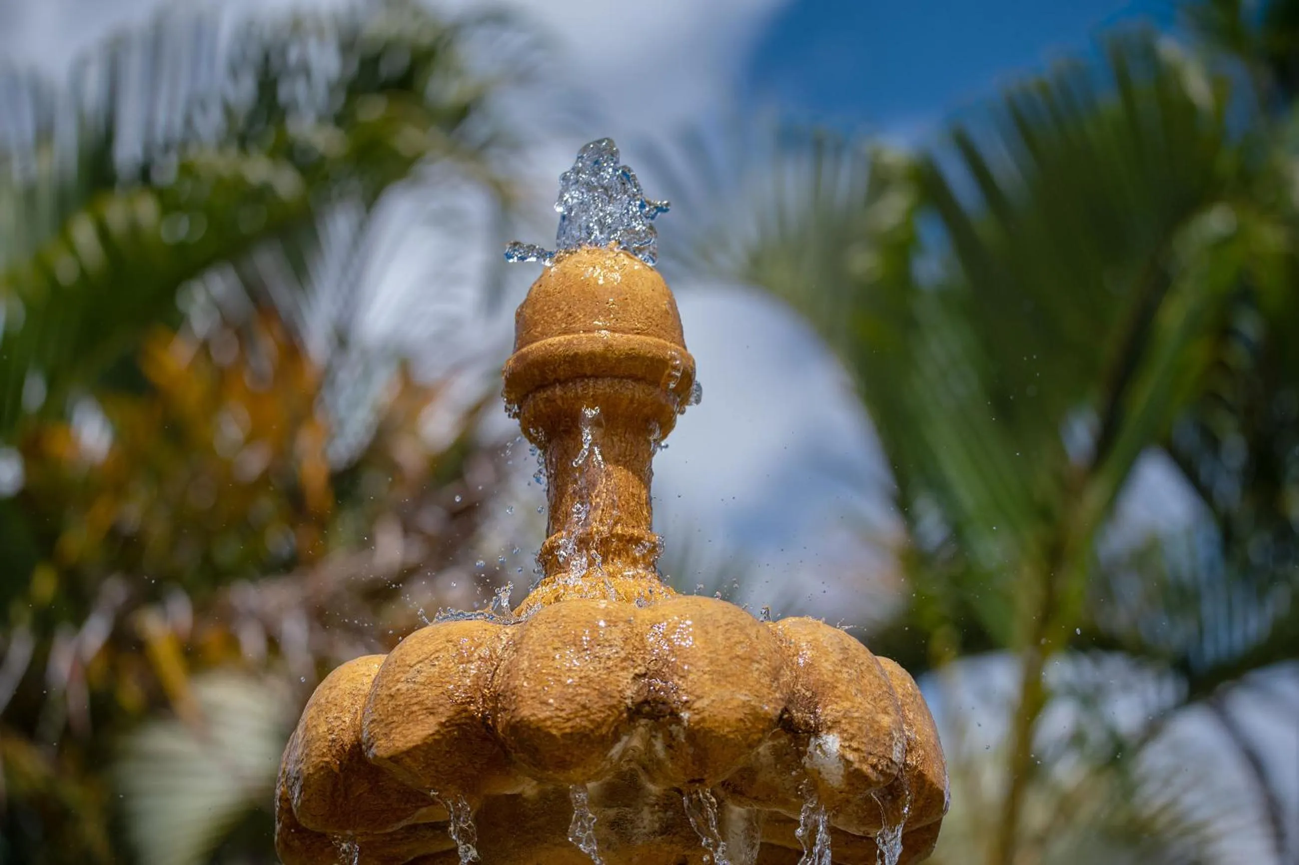 Natural landscape in Hotel Campestre Montecarlo