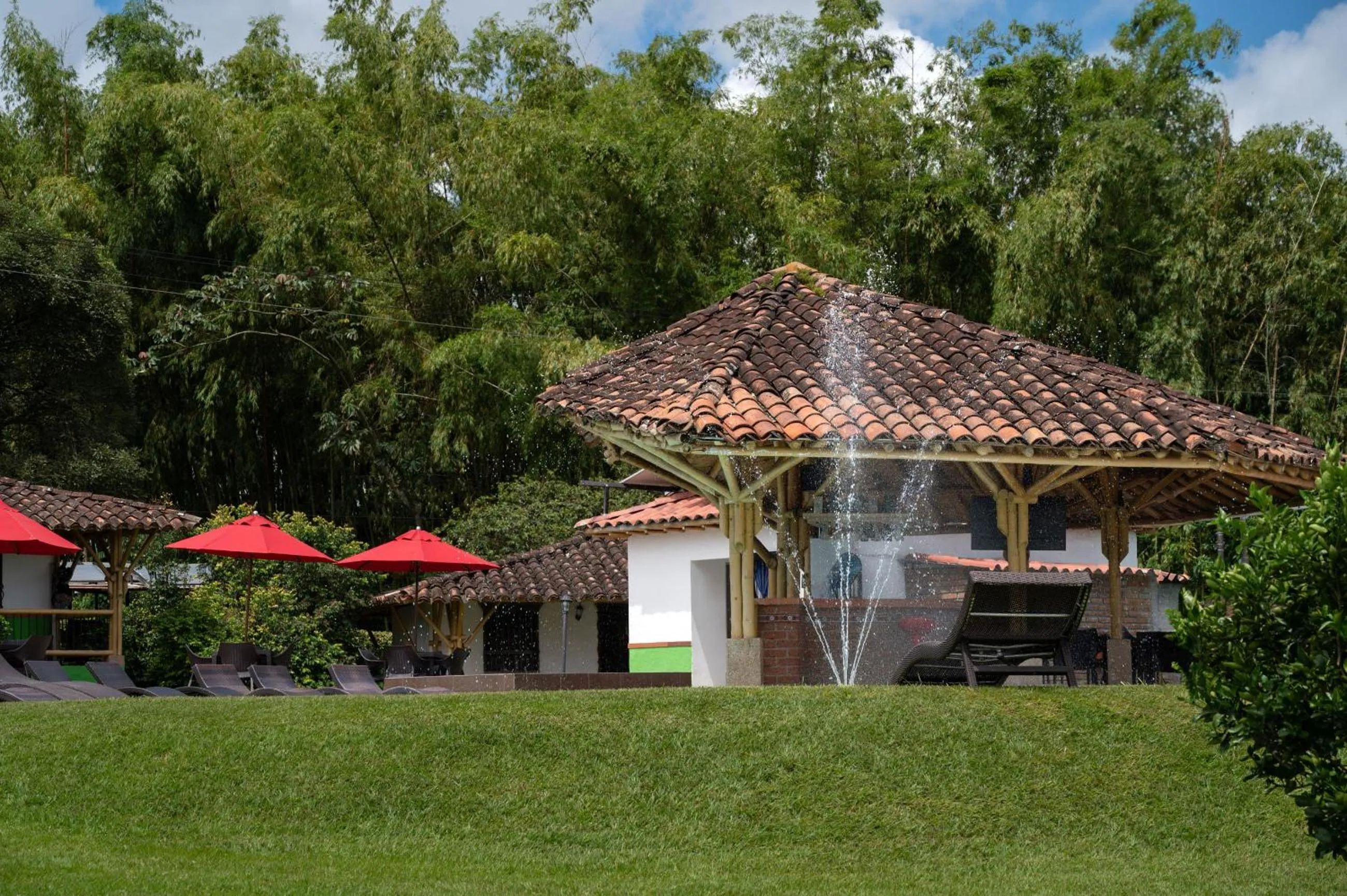 Natural landscape in Hotel Campestre Montecarlo