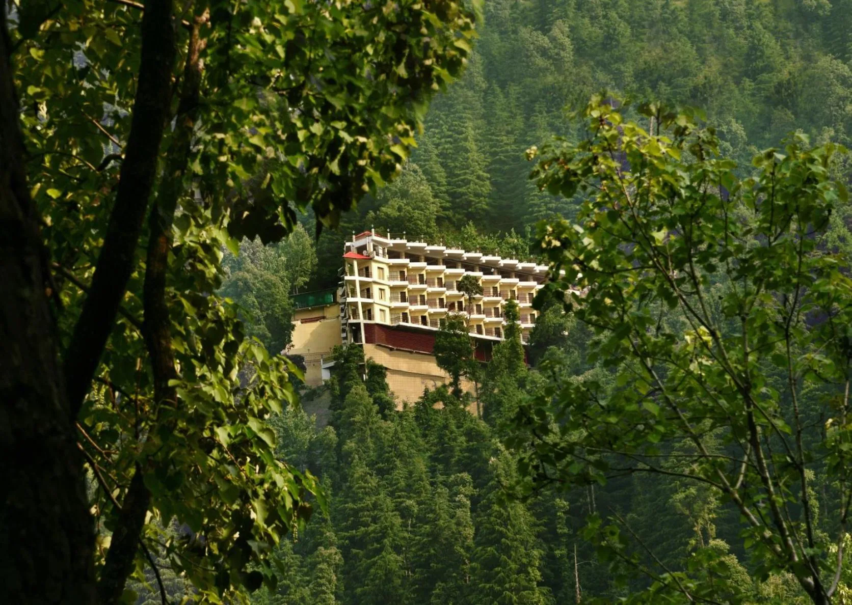 Natural landscape in JK Clarks Exotica