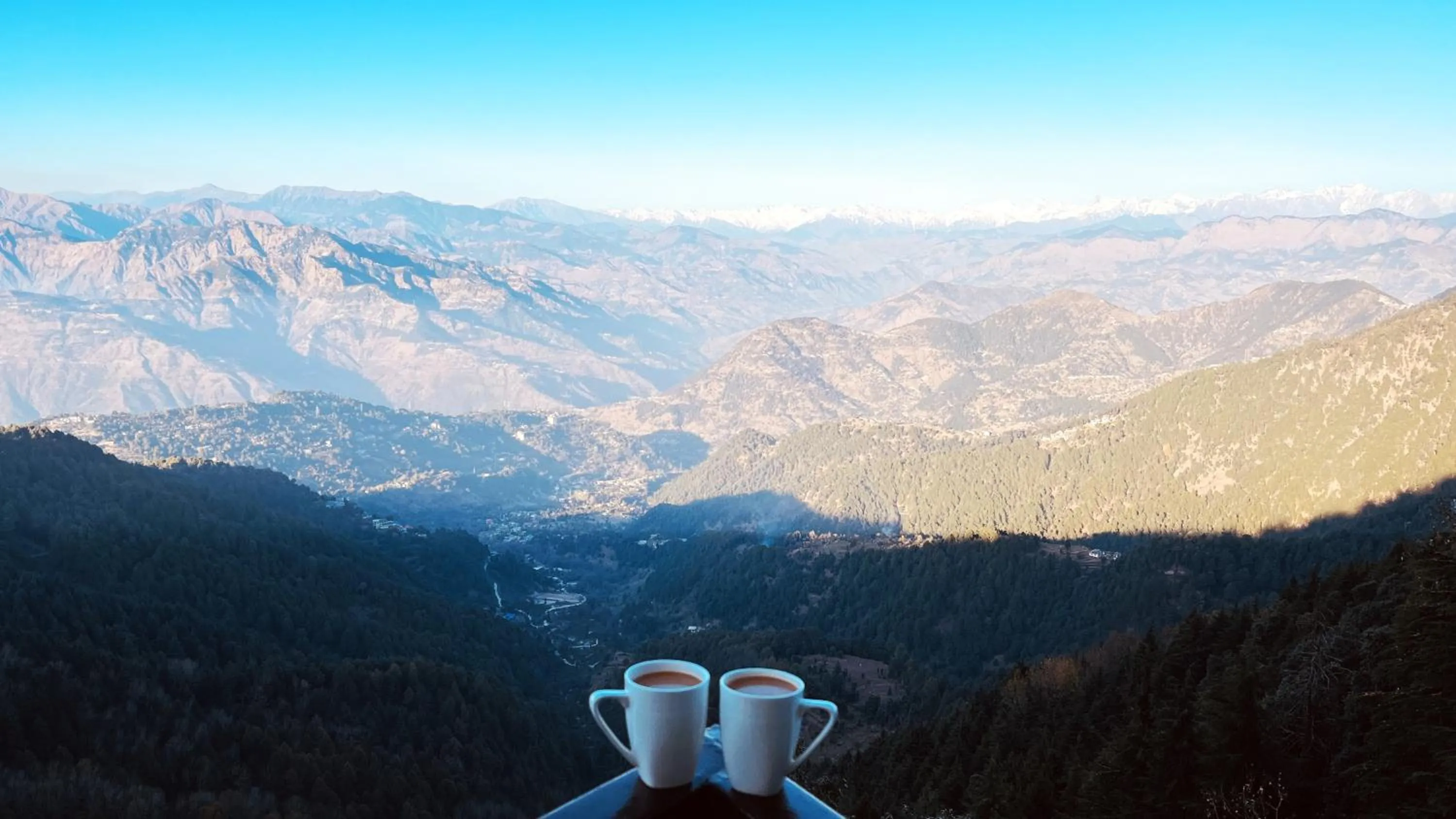 Bird's eye view in JK Clarks Exotica