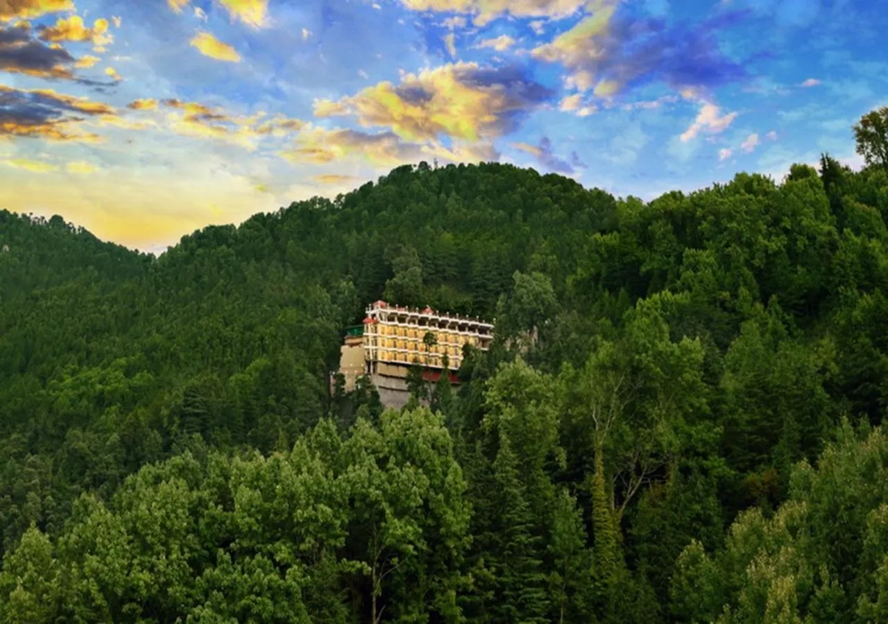 Bird's eye view in JK Clarks Exotica