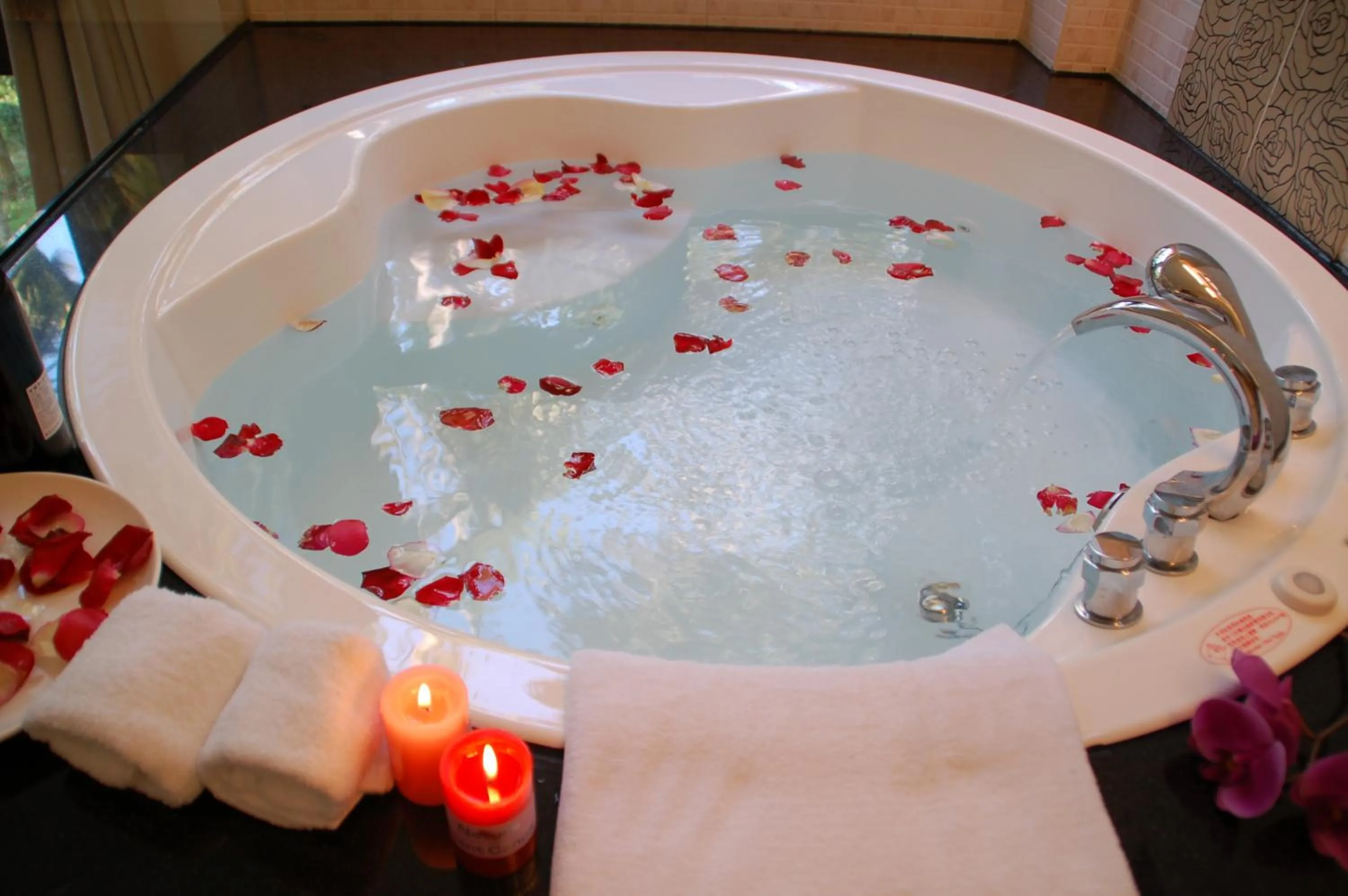 View (from property/room) in Full House Homestay