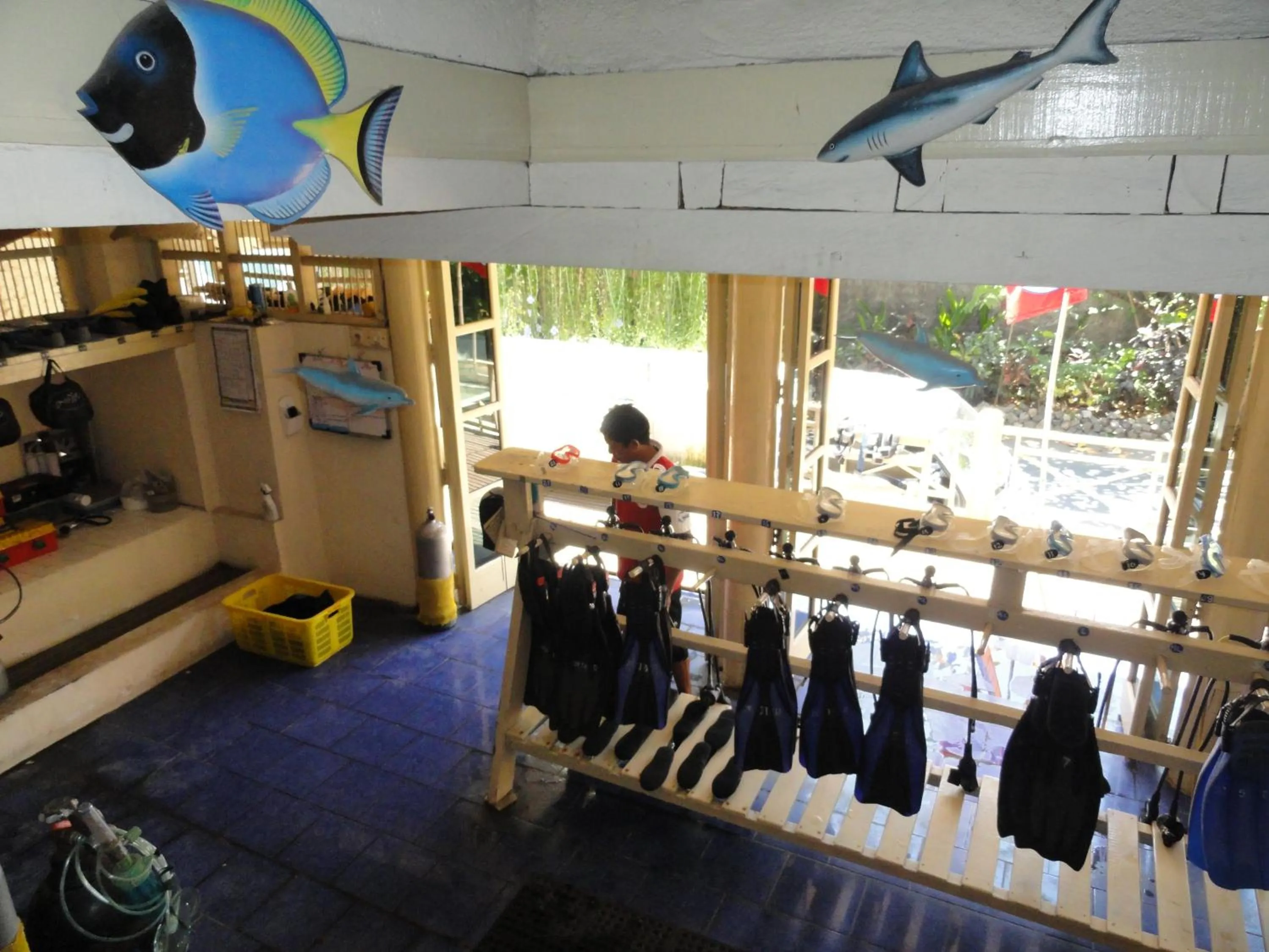 Snorkeling in Jukung Dive Resort Bali AMED