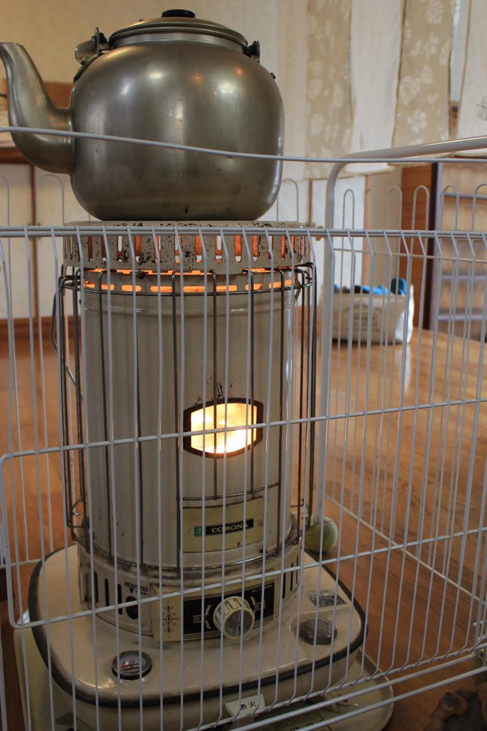 Other in Nozawa Dream