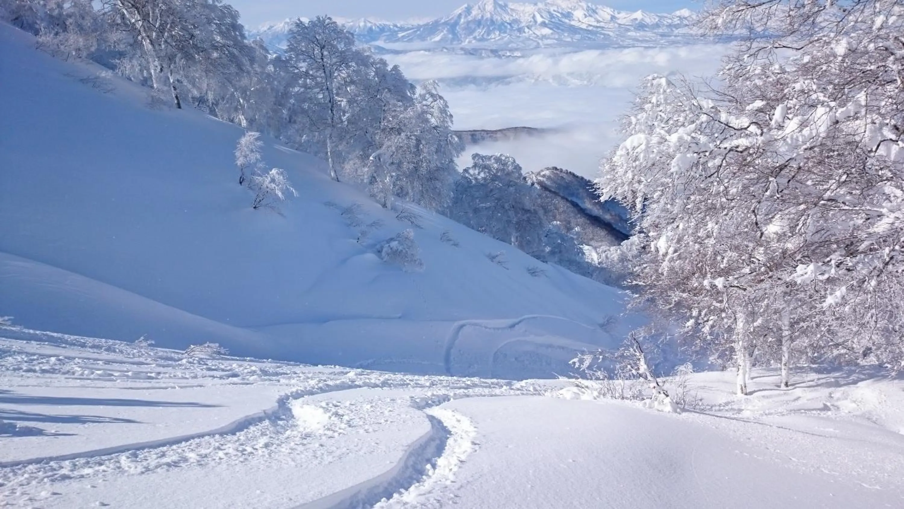 Off site in Nozawa Dream