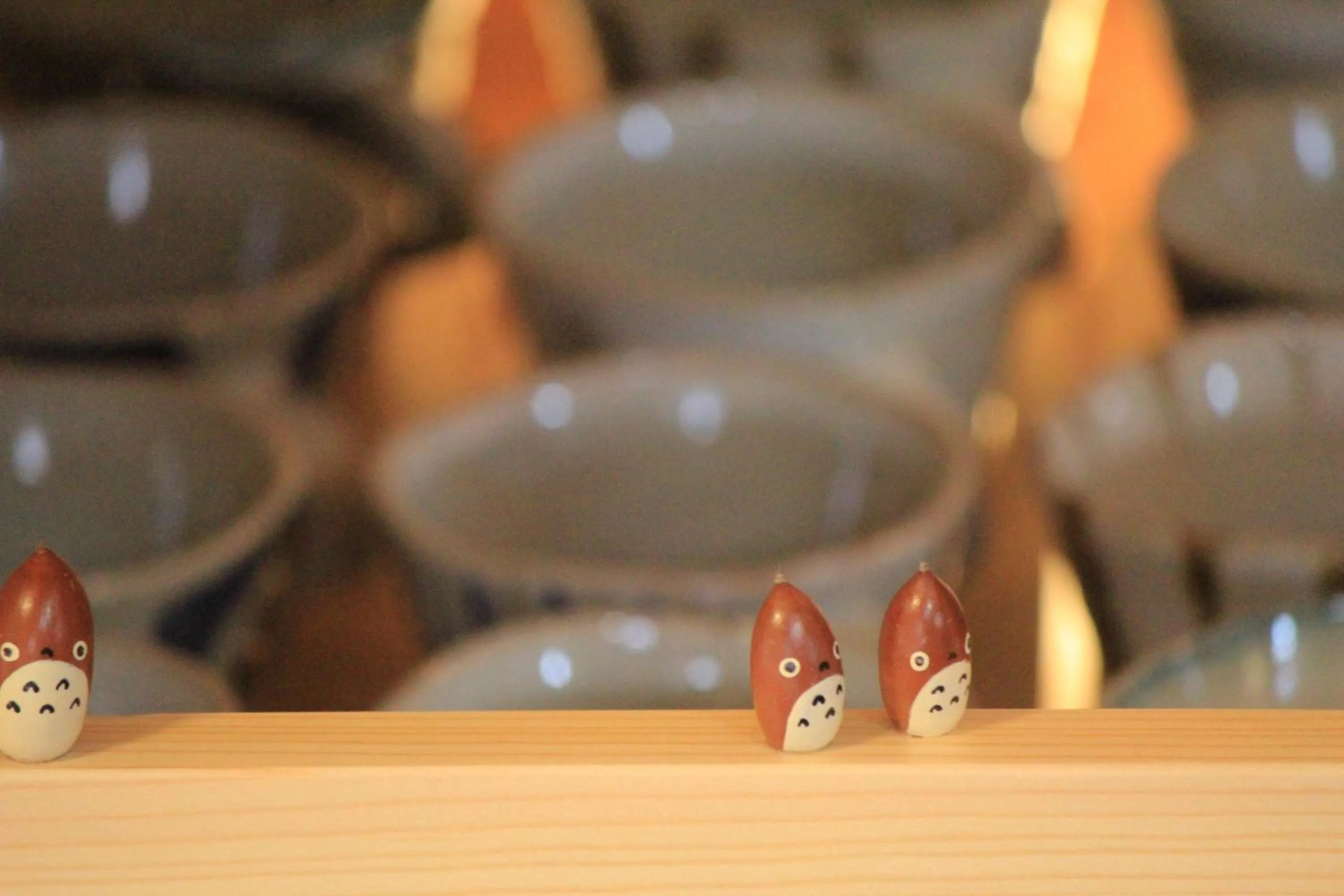 Other in Nozawa Dream