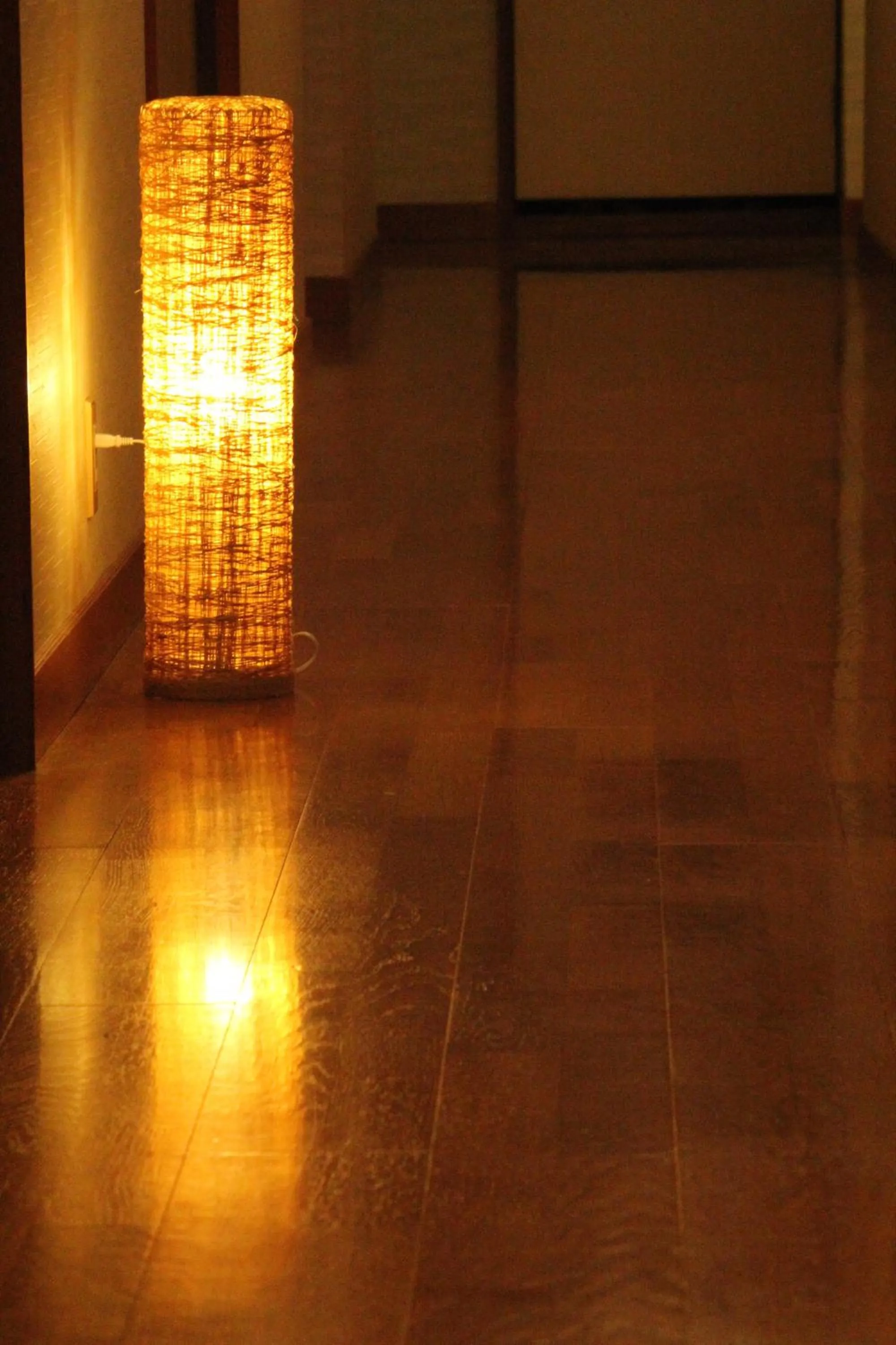 Other in Nozawa Dream