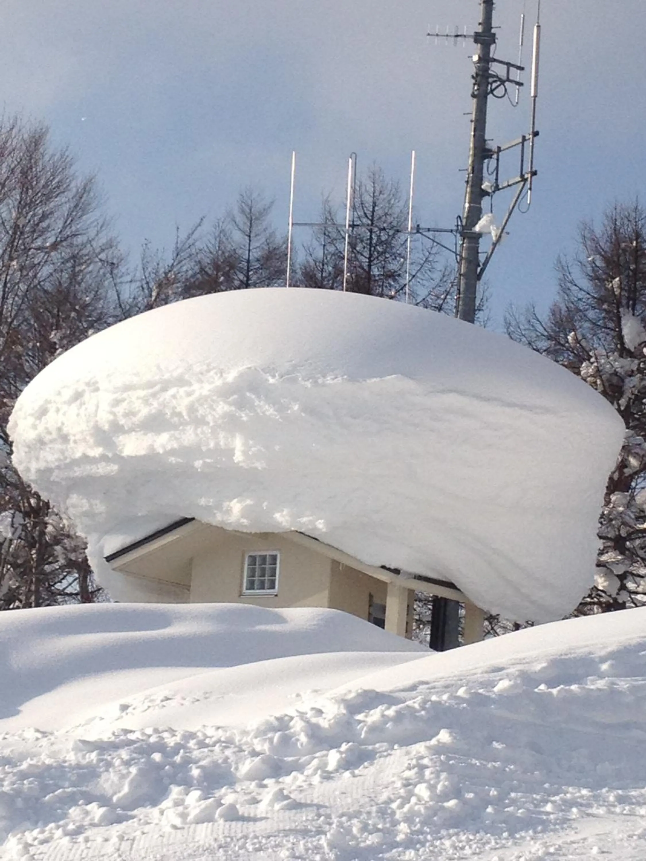 Off site in Nozawa Dream